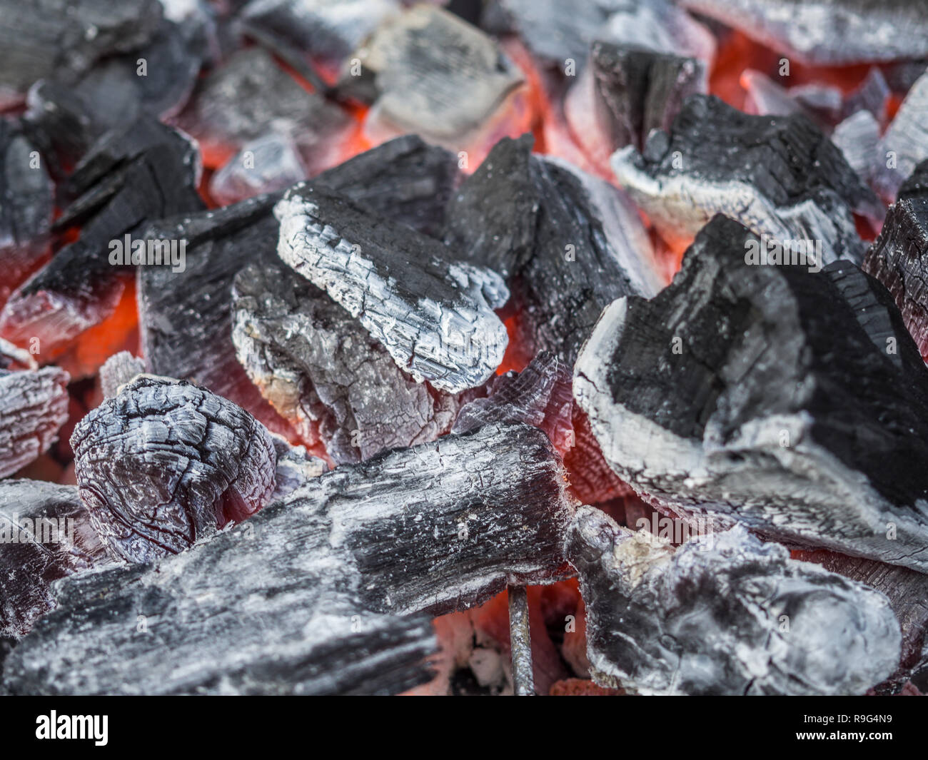 OLYMPUS FOTOCAMERA DIGITALE Foto Stock