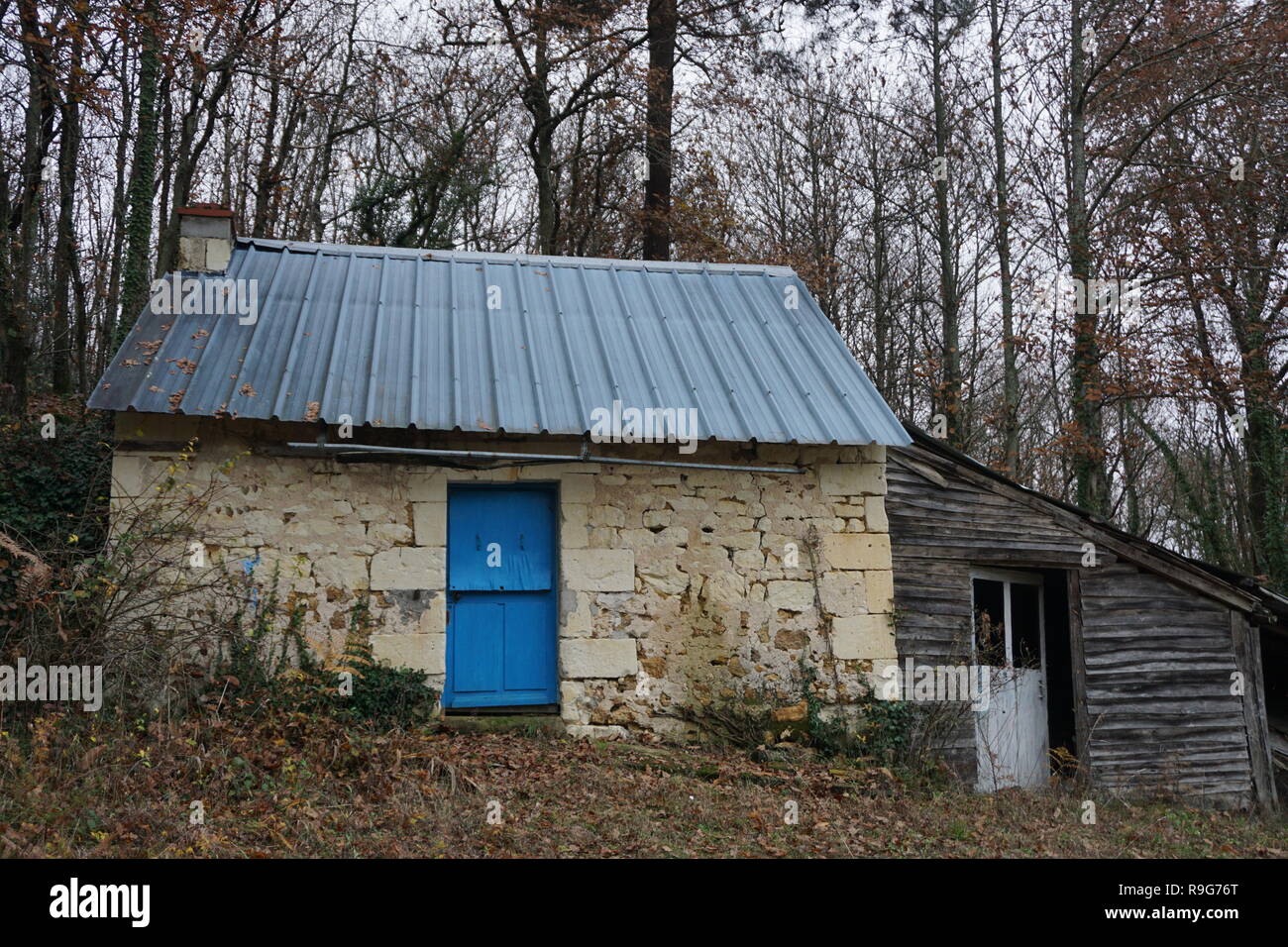 Blu brillante porta su una vecchia pietra piccola casa in legno e sparso nei boschi nel paese in Francia Foto Stock