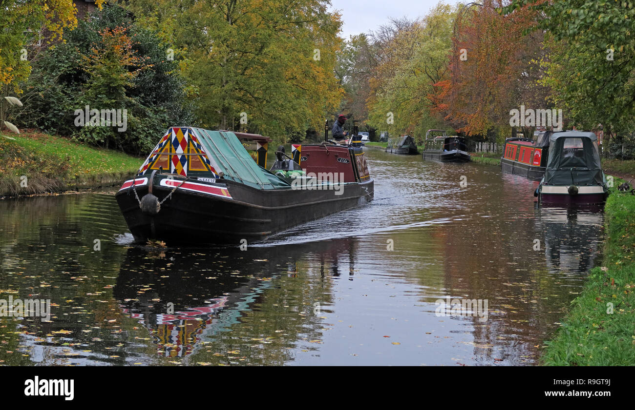 Bridgewater Canal bettolina, abbassare Walton, Sud Warrington, Cheshire, Nord Ovest Inghilterra,UK Foto Stock