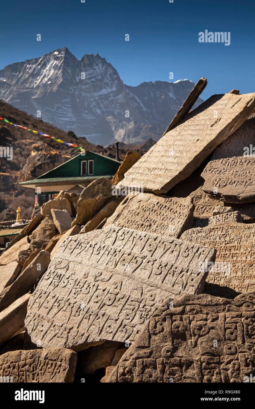 Il Nepal, il Campo Base Everest Trek, Khumjung village center, mani da parete Foto Stock