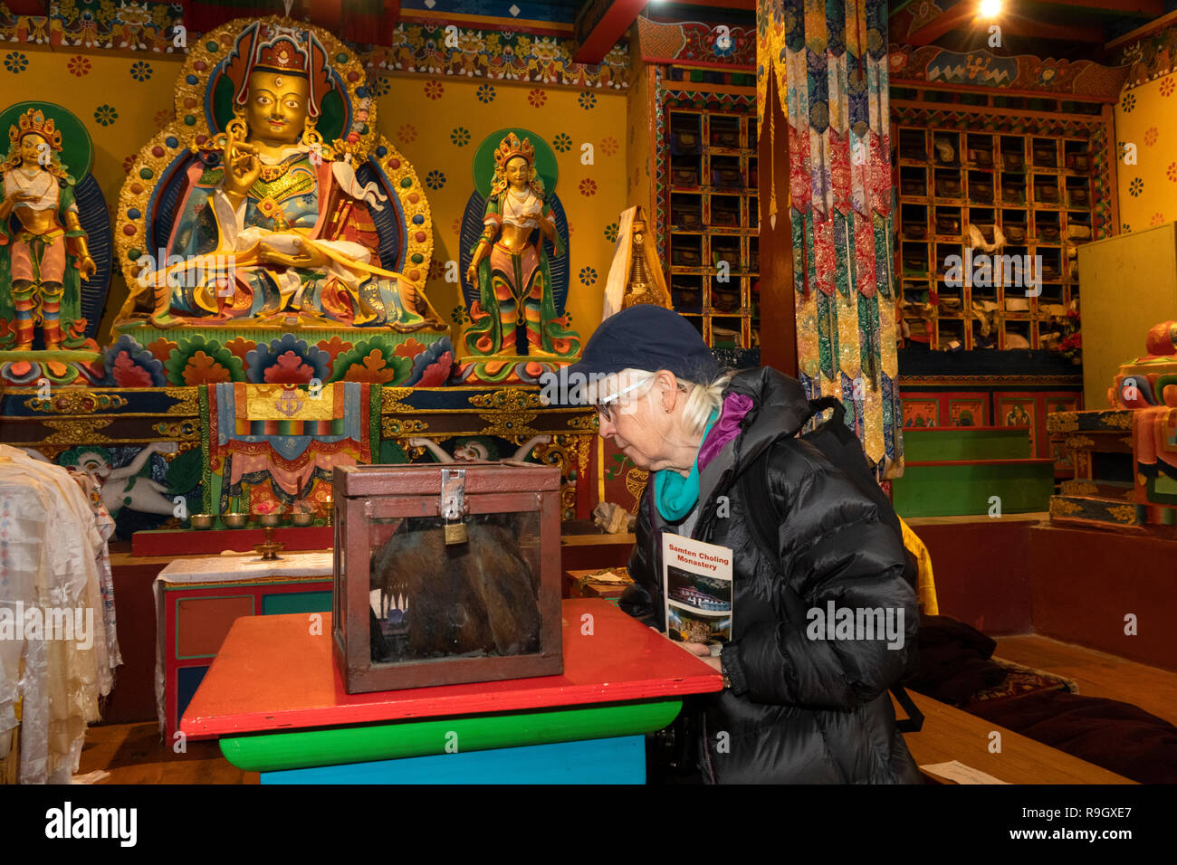 Il Nepal, il Campo Base Everest Trek, Khumjung, Samten Choling Gompa interno, senior visualizzazione turistica Yeti cuoio capelluto Foto Stock