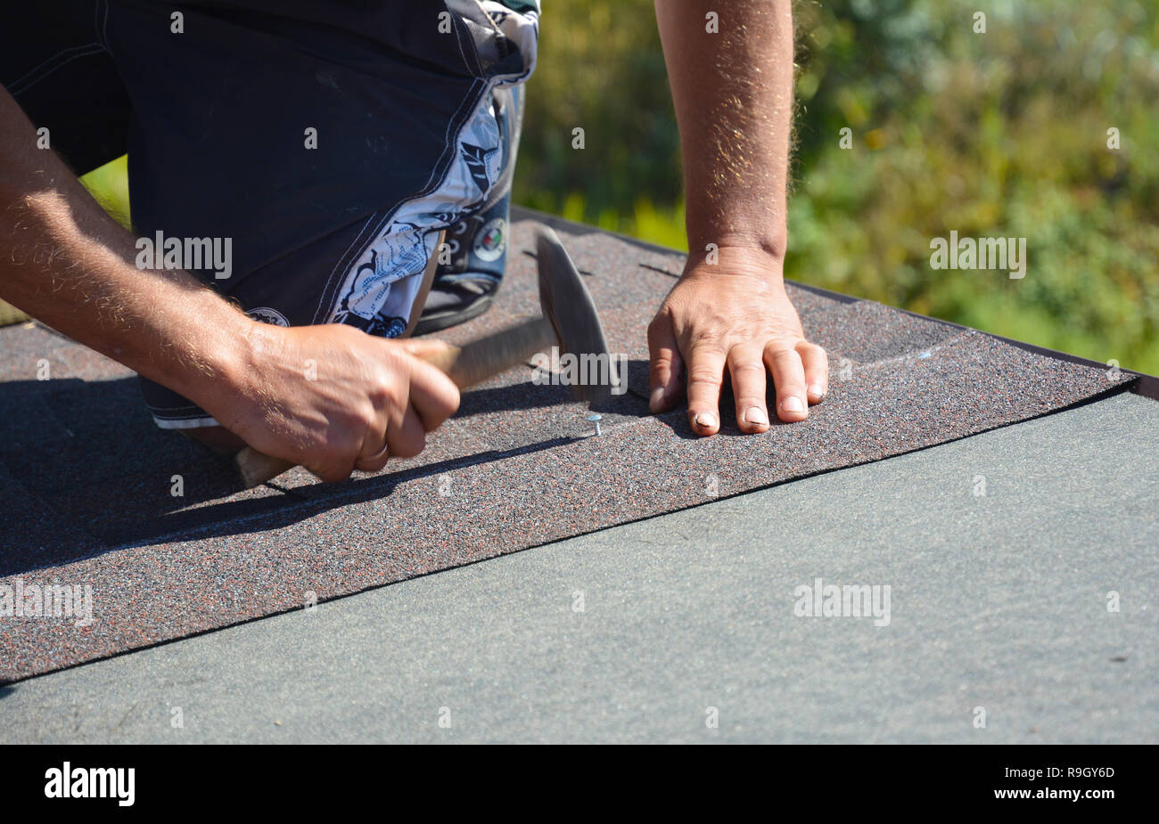 Copritetti Installazione di scandole di asfalto sulla casa costruzione tetto angolo con martello e chiodi. Costruzione di copertura. Coperture contraente installare il tetto tegola Foto Stock