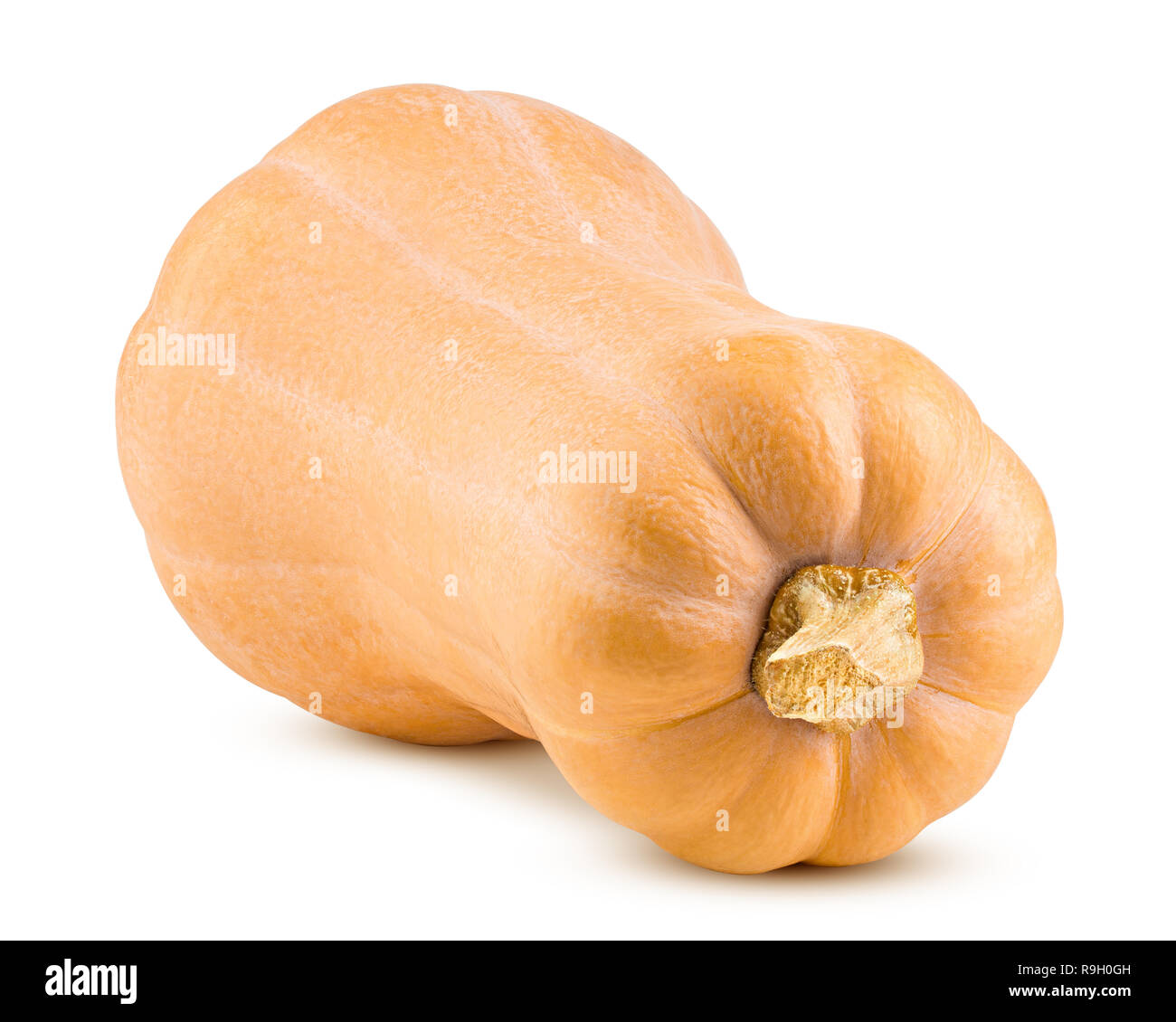 La zucca zucca isolati su sfondo bianco, percorso di clipping, tutta la profondità di campo Foto Stock