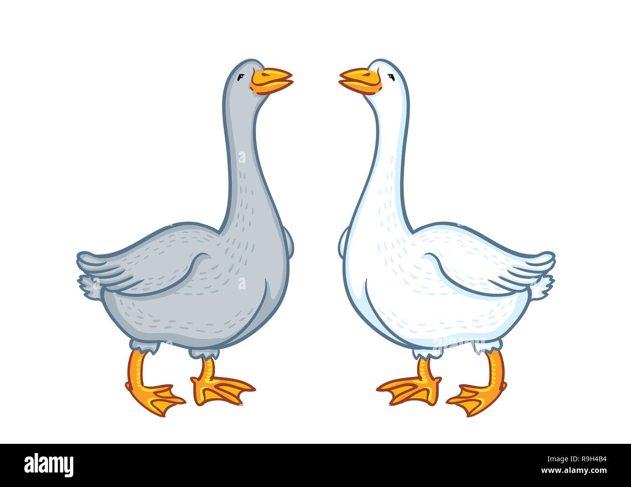 Due oche di bianco e grigio, cartoon funny goose isolati su sfondo bianco, oca natura domestica carattere, pollame, degli animali da allevamento Illustrazione Vettoriale