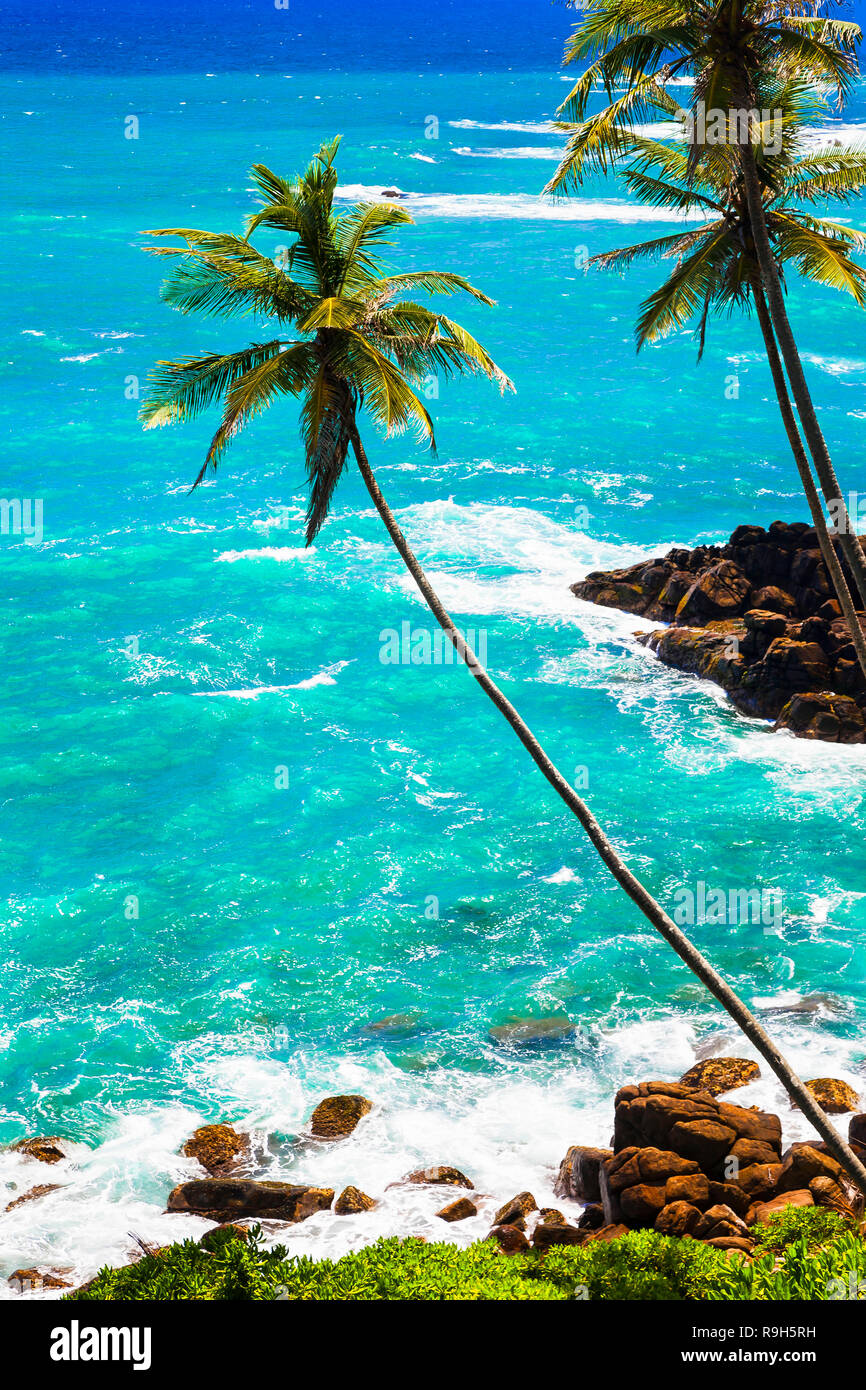 Un mare azzurro e le palme in Sri Lanka,vacanze tropicali. Foto Stock