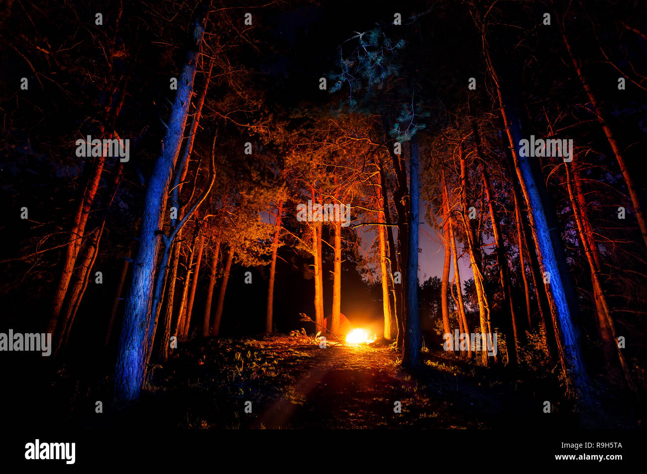 Foresta scura con il fuoco di notte Foto Stock