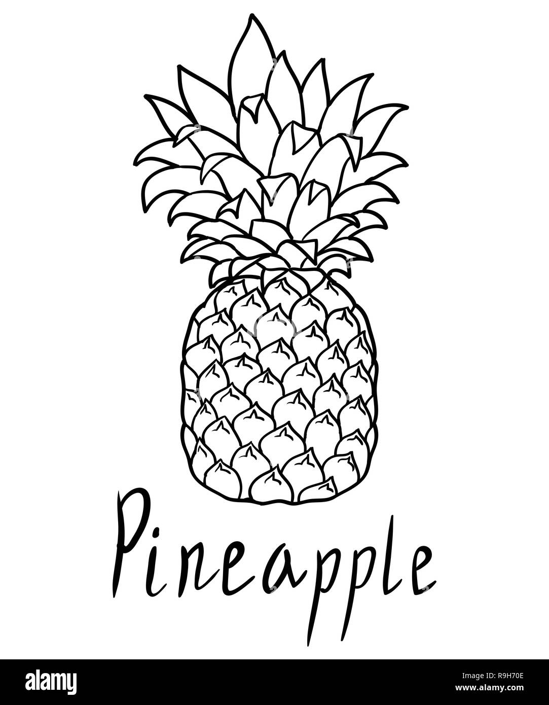 Ananas isolato su bianco. Vettore icona versione ananas, oggetto grafico Illustrazione Vettoriale