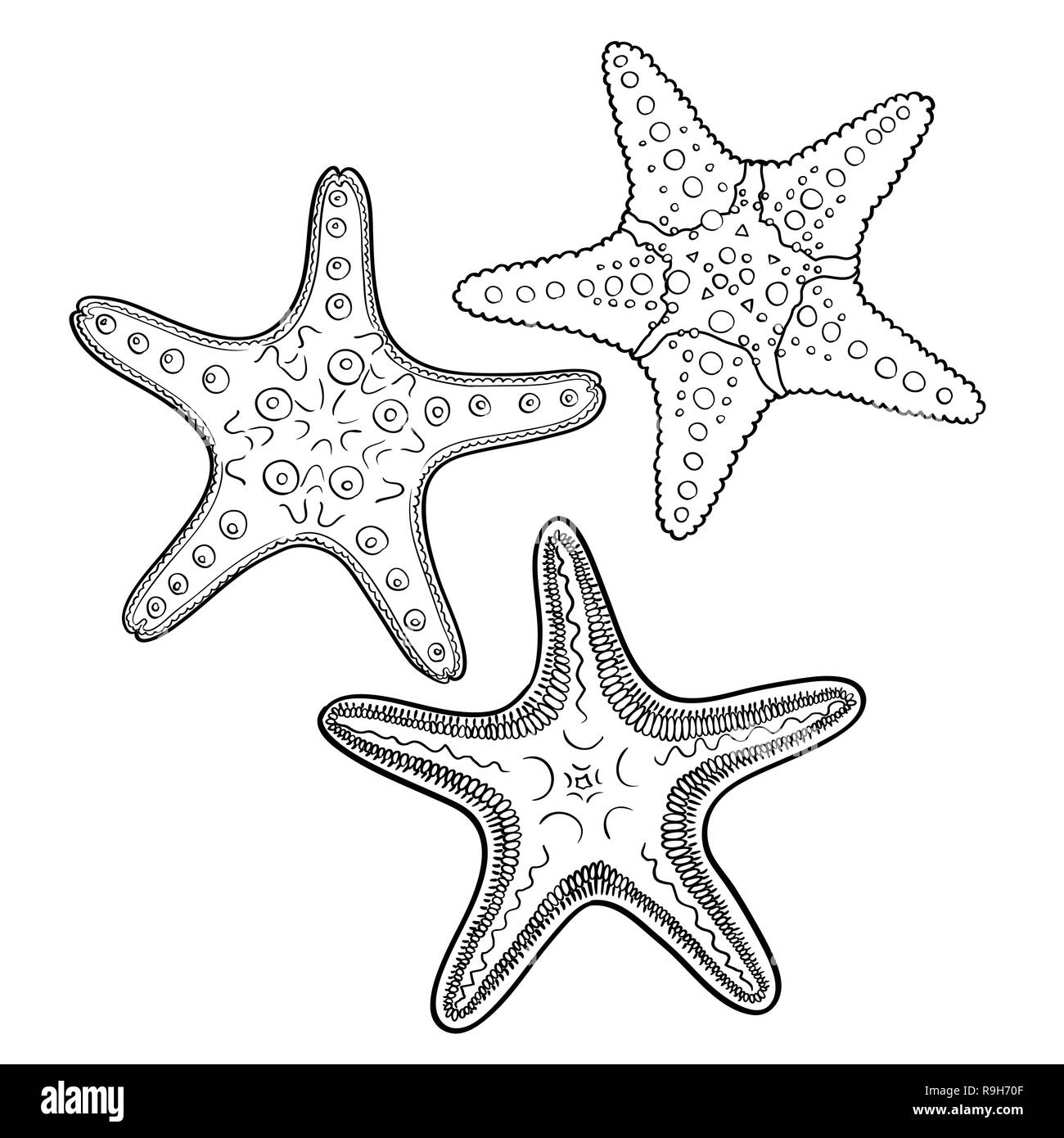 Disegnata a mano starfish in sagoma nera su off - sfondo bianco Illustrazione Vettoriale