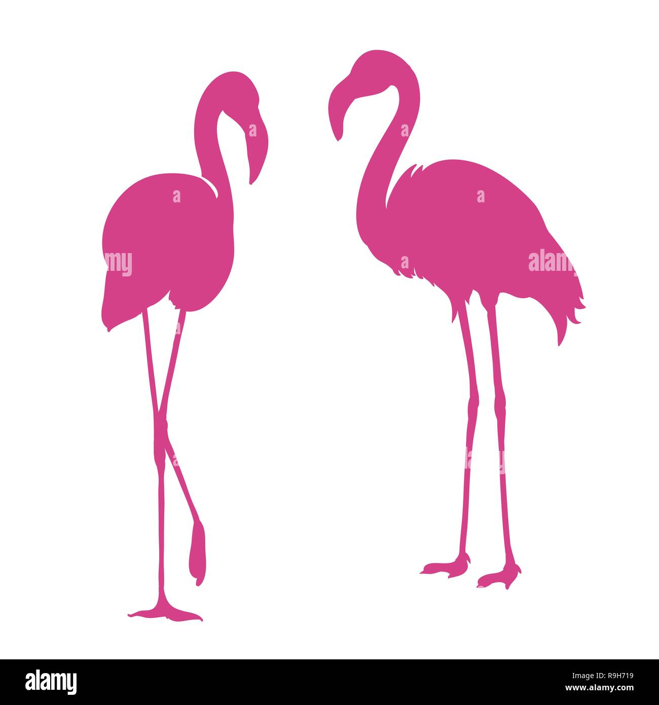 Flamingo. Uccelli esotici. Due fenicotteri rosa, Piatto decorativo elemento di design Illustrazione Vettoriale