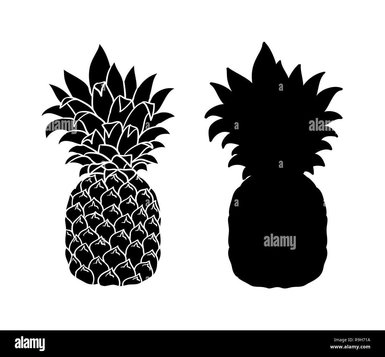 Ananas isolato su bianco. Vector ananas, oggetto grafico, silhouette Illustrazione Vettoriale