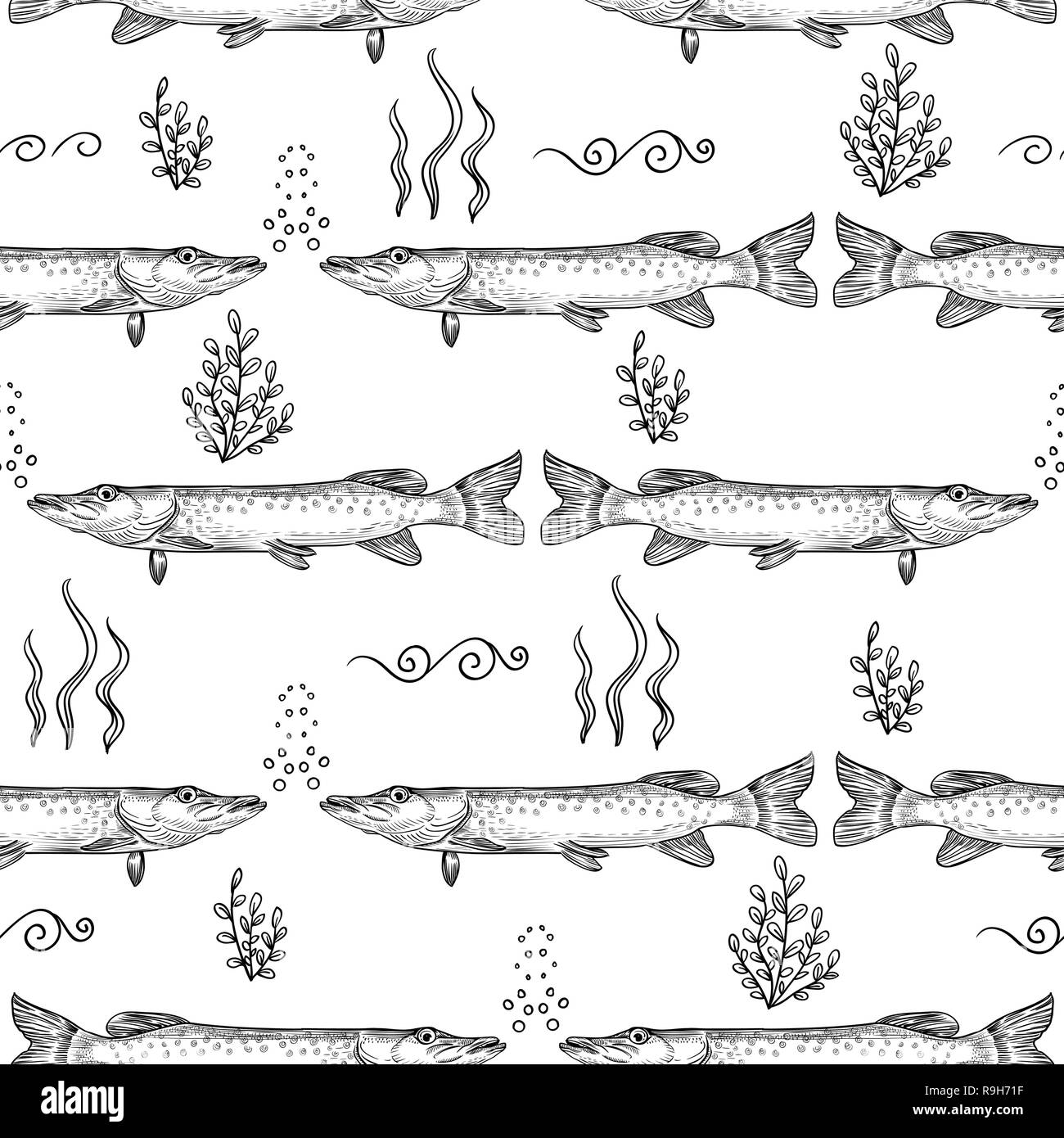 Pike. Modello senza giunture di Pike. Mano bozzetto illustrazione vettoriale Illustrazione Vettoriale