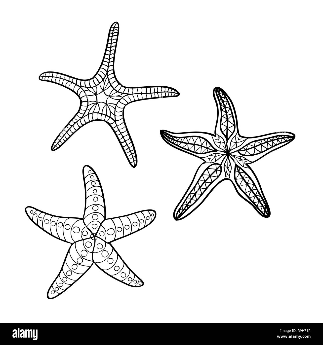 Disegnata a mano starfish in sagoma nera su off - sfondo bianco Illustrazione Vettoriale