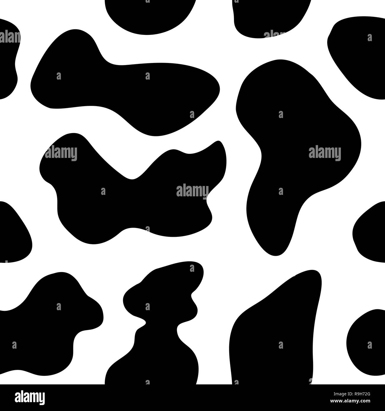 Mucca In Bianco E Nero Sveglia Divertente Isolata Su Integrale Bianco Animali Da Allevamento Mucca Quasi Bianca Con Il Grande Muso Image85928851
