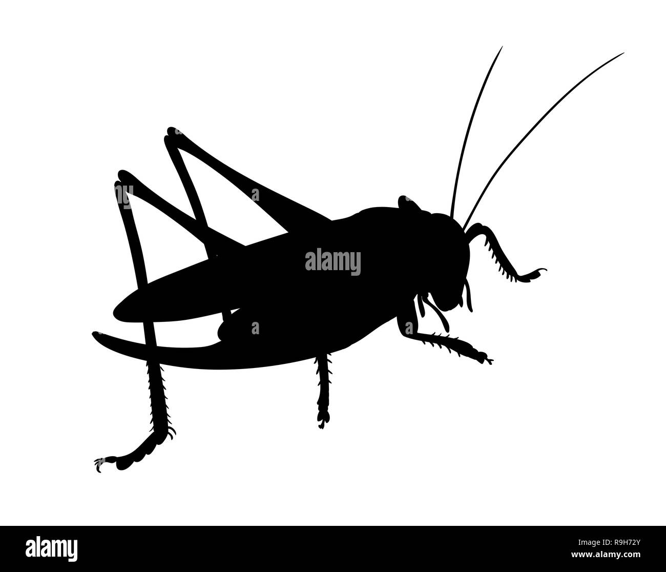 Grasshopper, in vista laterale. Silhouette di grasshopper, vettore. Illustrazione Vettoriale