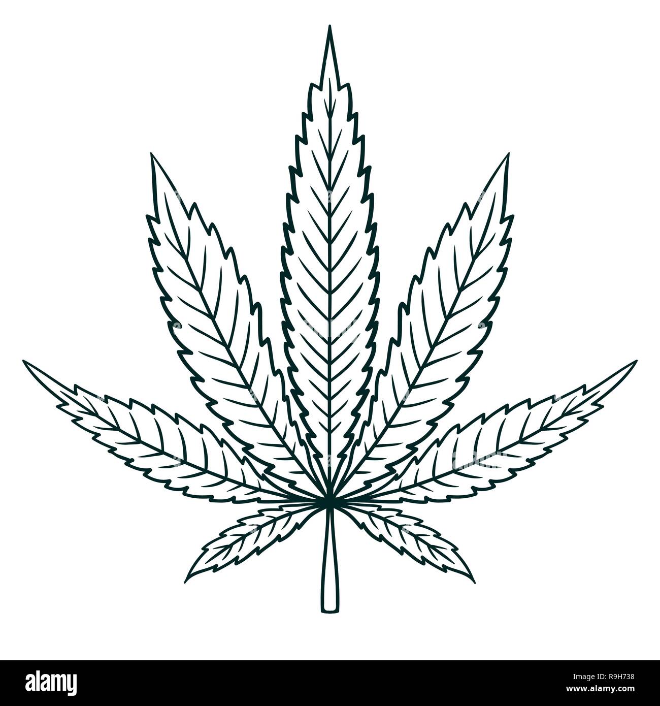 La Cannabis (marijuana) foglie in appartamento in stile vintage. Immagine di contorno foglio Illustrazione Vettoriale