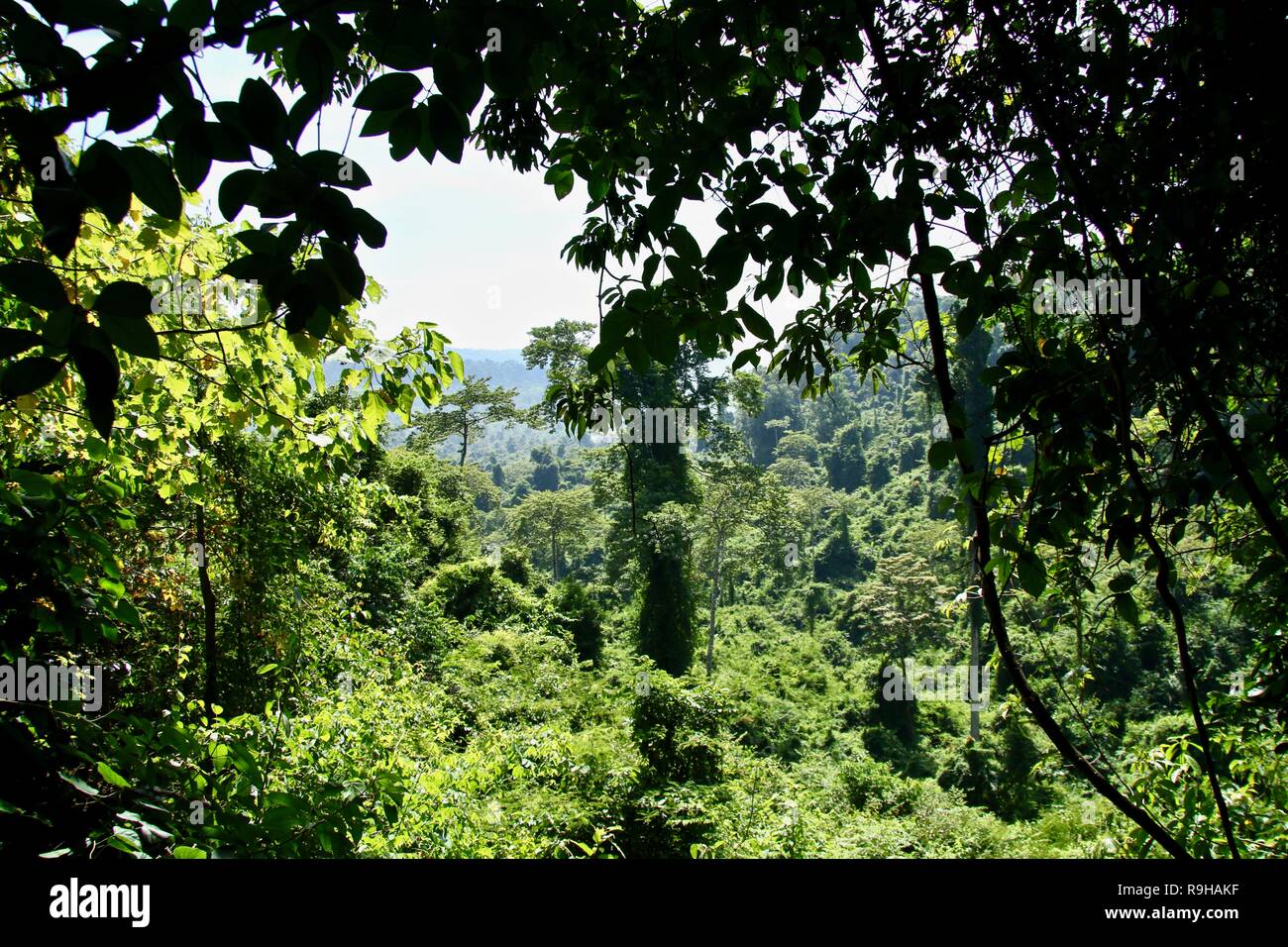 Vista da una prospettiva di montagna che si affaccia su una fitta giungla paesaggio in Cambogia Foto Stock