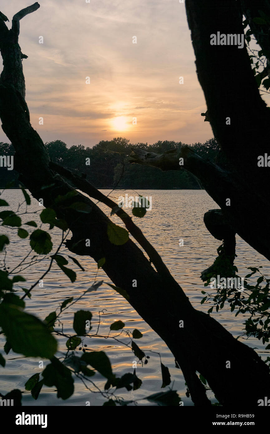 Tramonto attraverso gli alberi a Brunswick pond Mittelteich Foto Stock