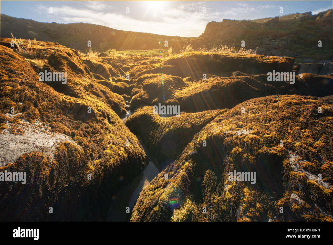 Letto asciutto del fiume Islanda Foto Stock