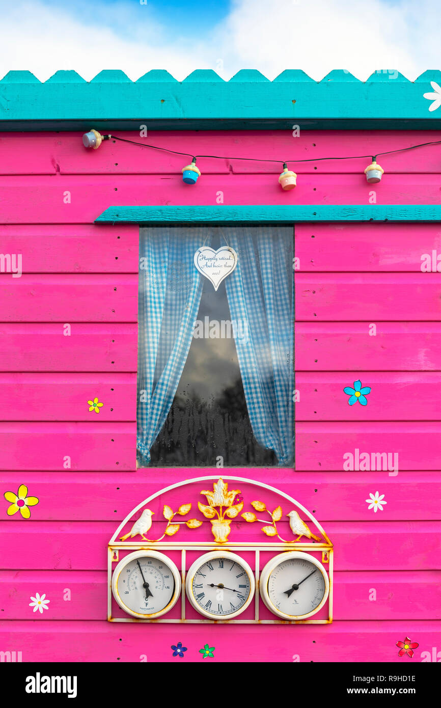 La parete laterale di una Tettoia da giardino dipinto di rosa con una finestra con tende e una parete montata barometro, Kilwinning assegnazioni, Scozia Foto Stock