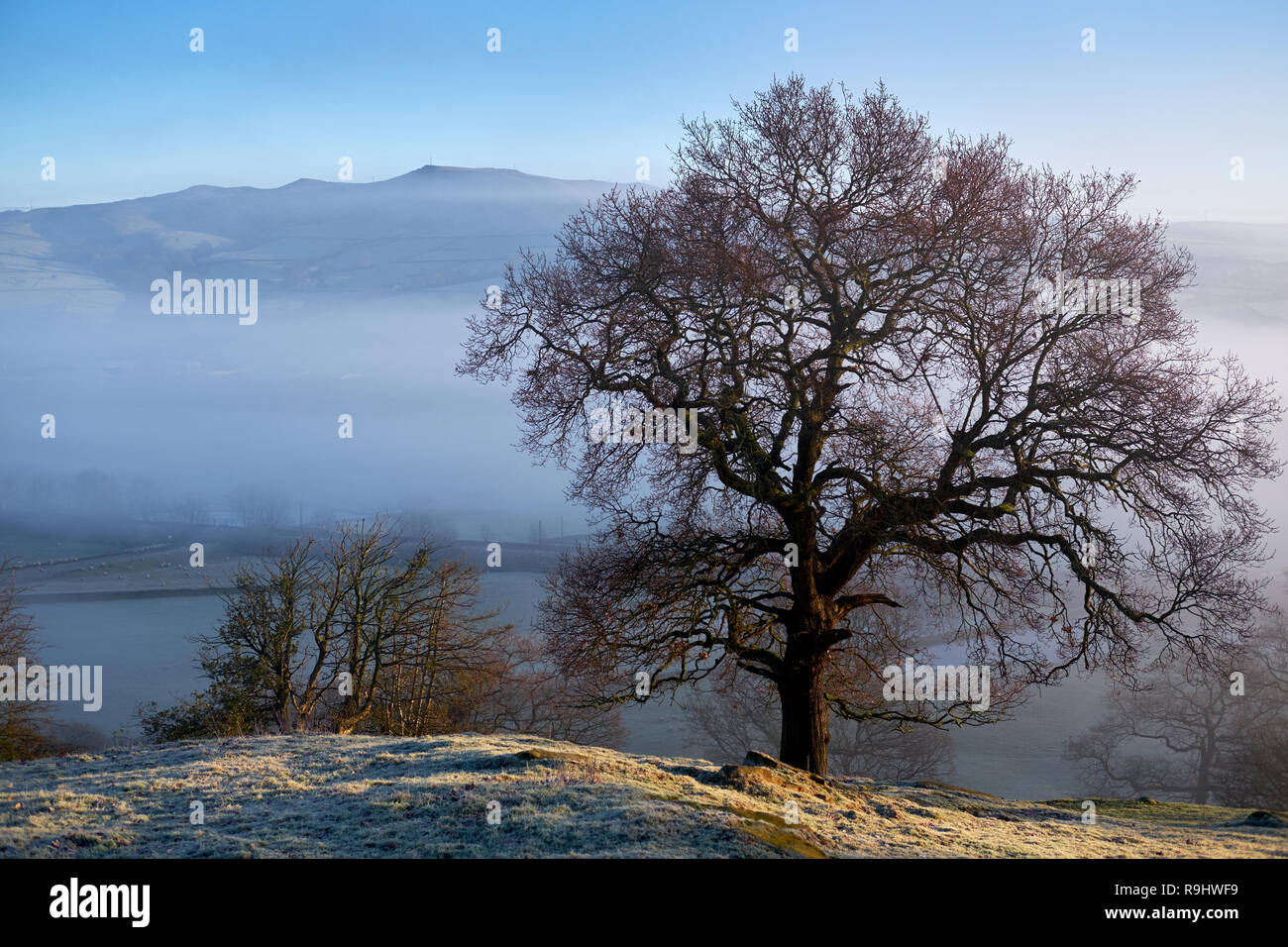 Tramonto su una valle glaciale avvolta nel basso nebbia con alberi in inverno Foto Stock