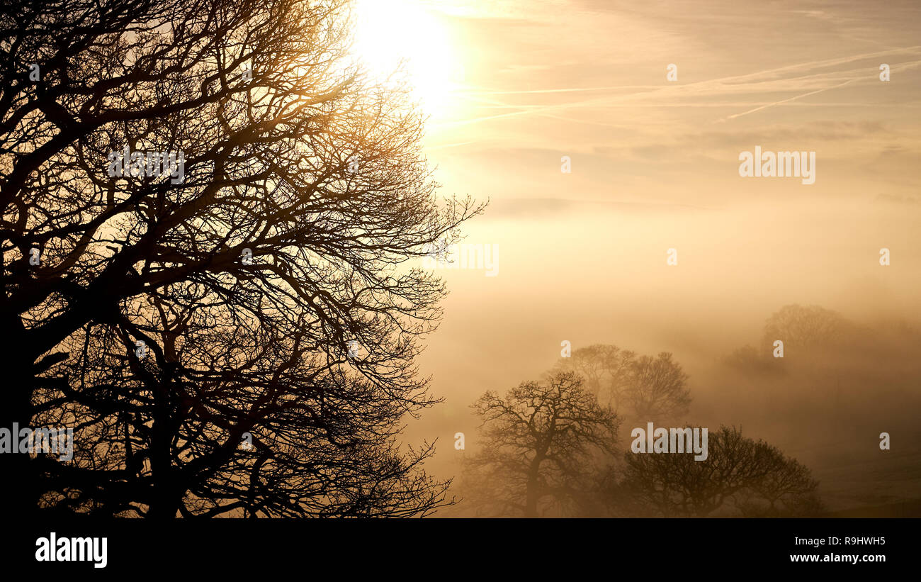 Tramonto su una valle glaciale avvolta nel basso nebbia con alberi in inverno Foto Stock