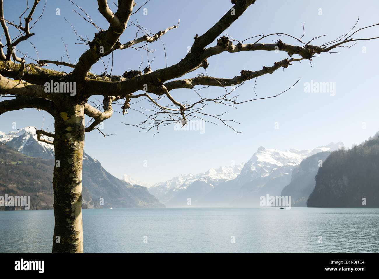 Pittoresca vista sul lago di Lucerna vicino a Brunnen, Svizzera Foto Stock