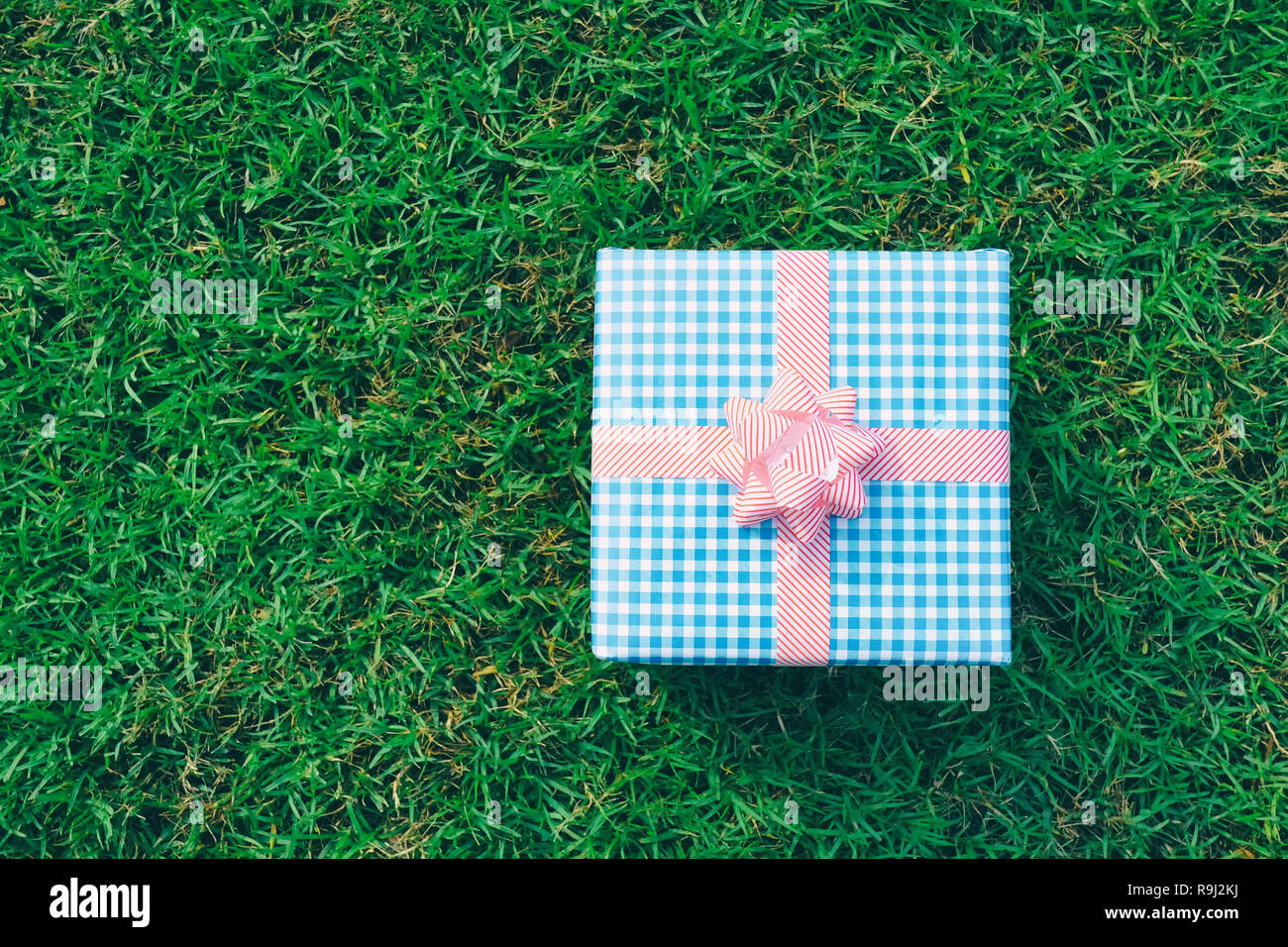 Blue box Regalo sul prato verde per il Natale e il nuovo anno, il giorno di san valentino o anniversario di giorno e di avere uno spazio di copia per il design nel suo concetto di lavoro. Foto Stock