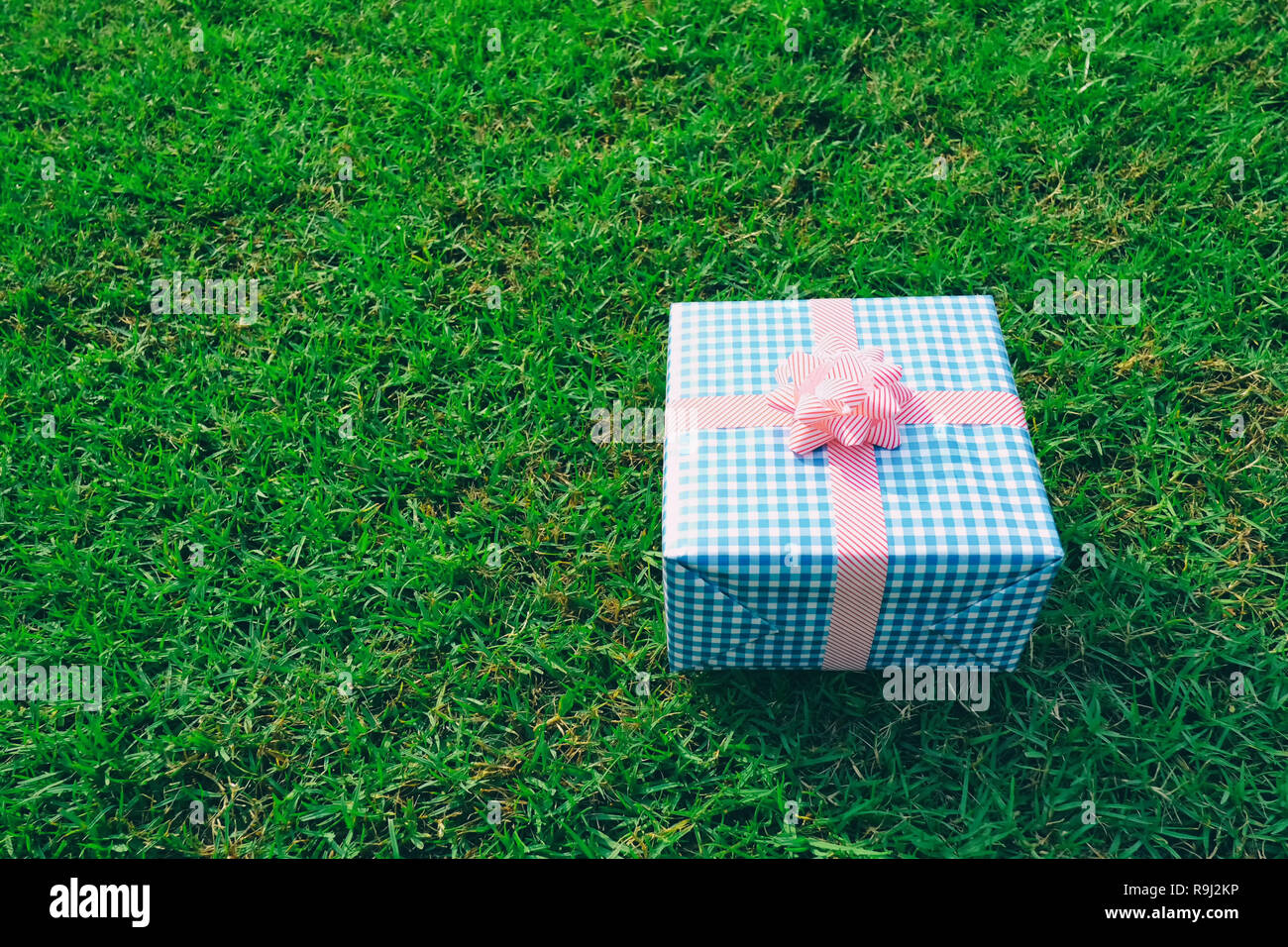 Blue box Regalo sul prato verde per il Natale e il nuovo anno, il giorno di san valentino o anniversario di giorno e di avere uno spazio di copia per il design nel suo concetto di lavoro. Foto Stock