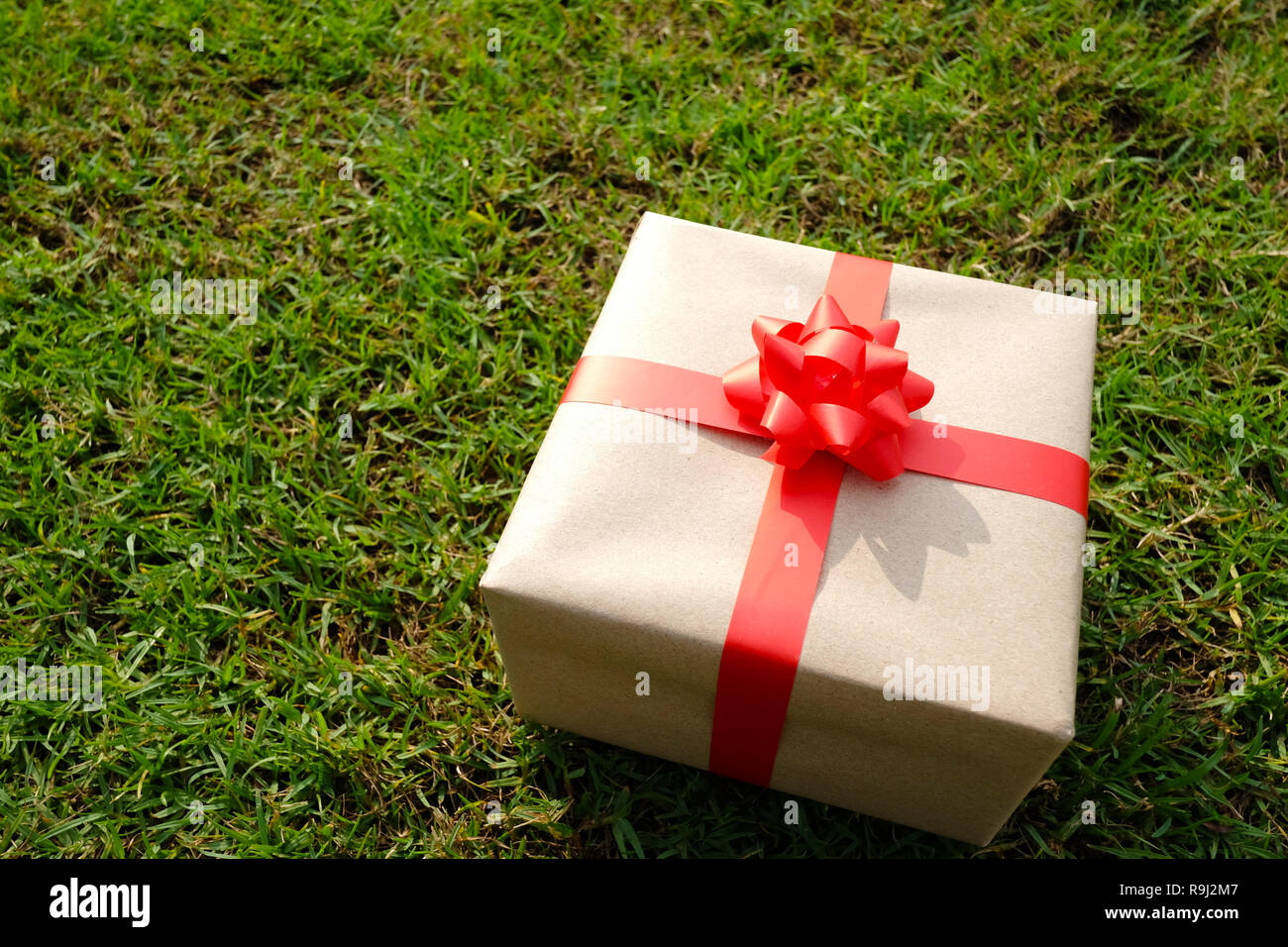 Brown box Regalo sul prato verde per il Natale e il nuovo anno, il giorno di san valentino o anniversario di giorno e di avere uno spazio di copia per il design nel suo concetto di lavoro. Foto Stock