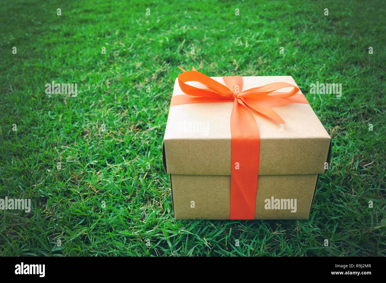 Brown box Regalo sul prato verde per il Natale e il nuovo anno, il giorno di san valentino o anniversario di giorno e di avere uno spazio di copia per il design nel suo concetto di lavoro. Foto Stock