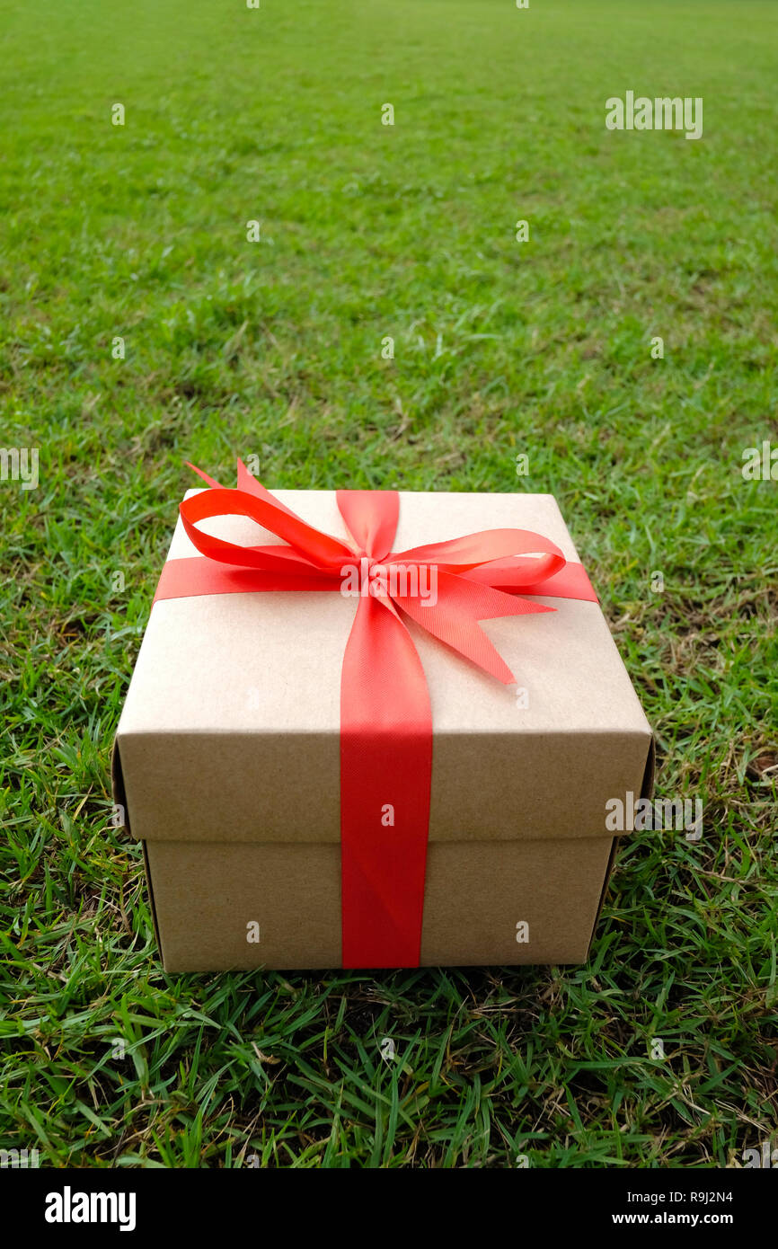 Brown box Regalo sul prato verde per il Natale e il nuovo anno, il giorno di san valentino o anniversario di giorno e di avere uno spazio di copia per il design nel suo concetto di lavoro. Foto Stock