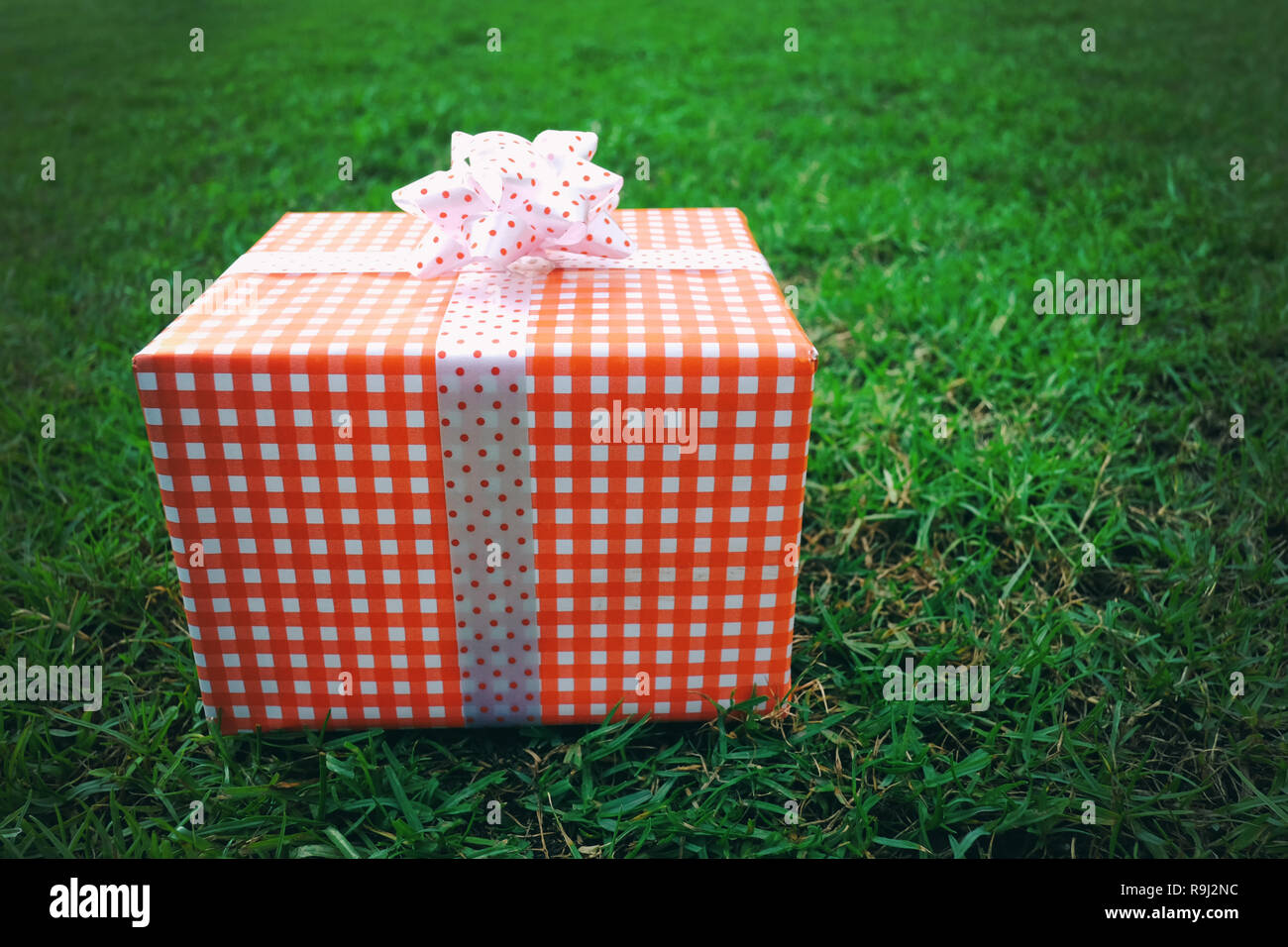 Confezione regalo rossa sul prato verde per il Natale e il nuovo anno, il giorno di san valentino o anniversario di giorno e di avere uno spazio di copia per il design nel suo concetto di lavoro. Foto Stock