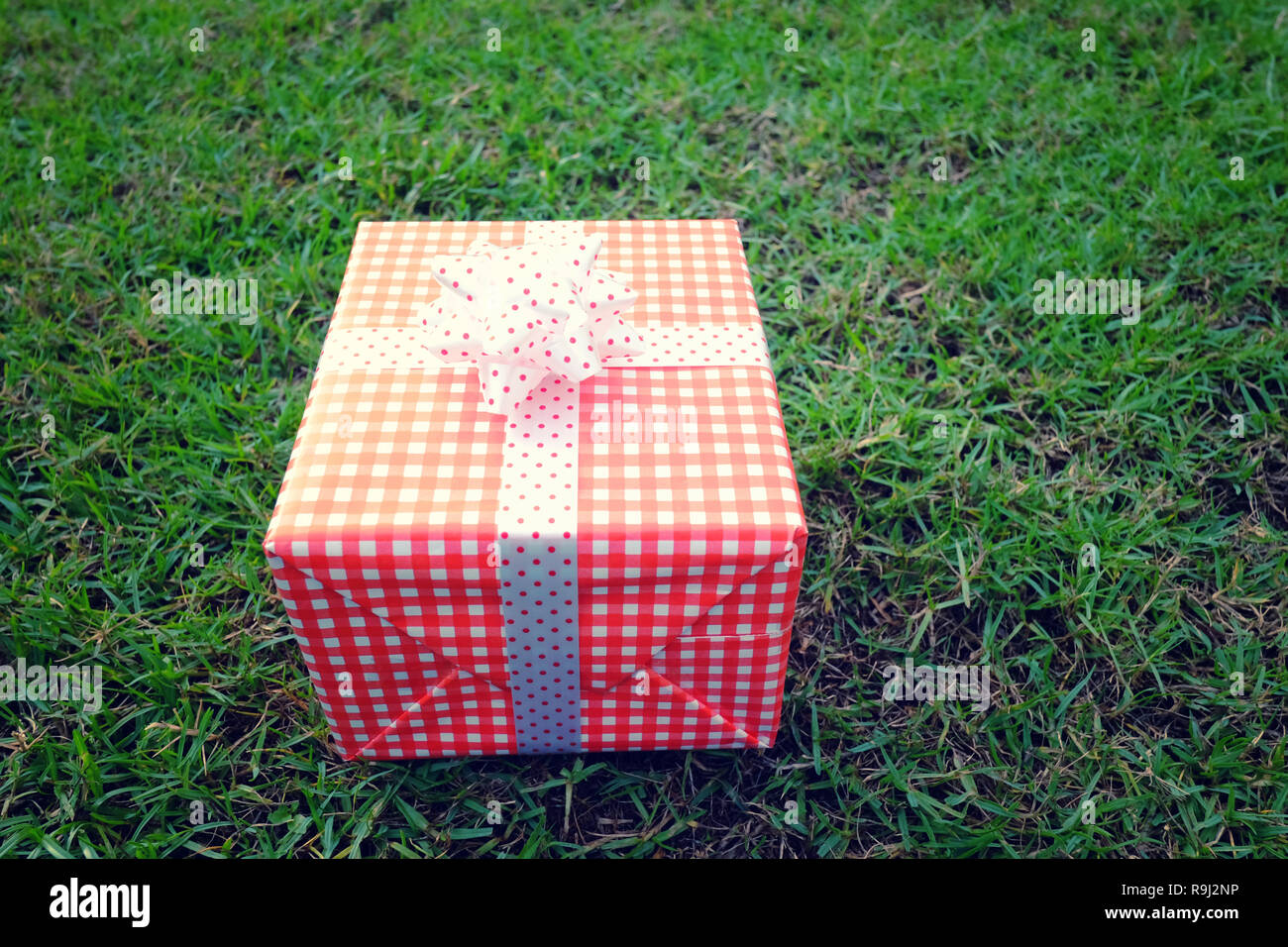 Confezione regalo rossa sul prato verde per il Natale e il nuovo anno, il giorno di san valentino o anniversario di giorno e di avere uno spazio di copia per il design nel suo concetto di lavoro. Foto Stock