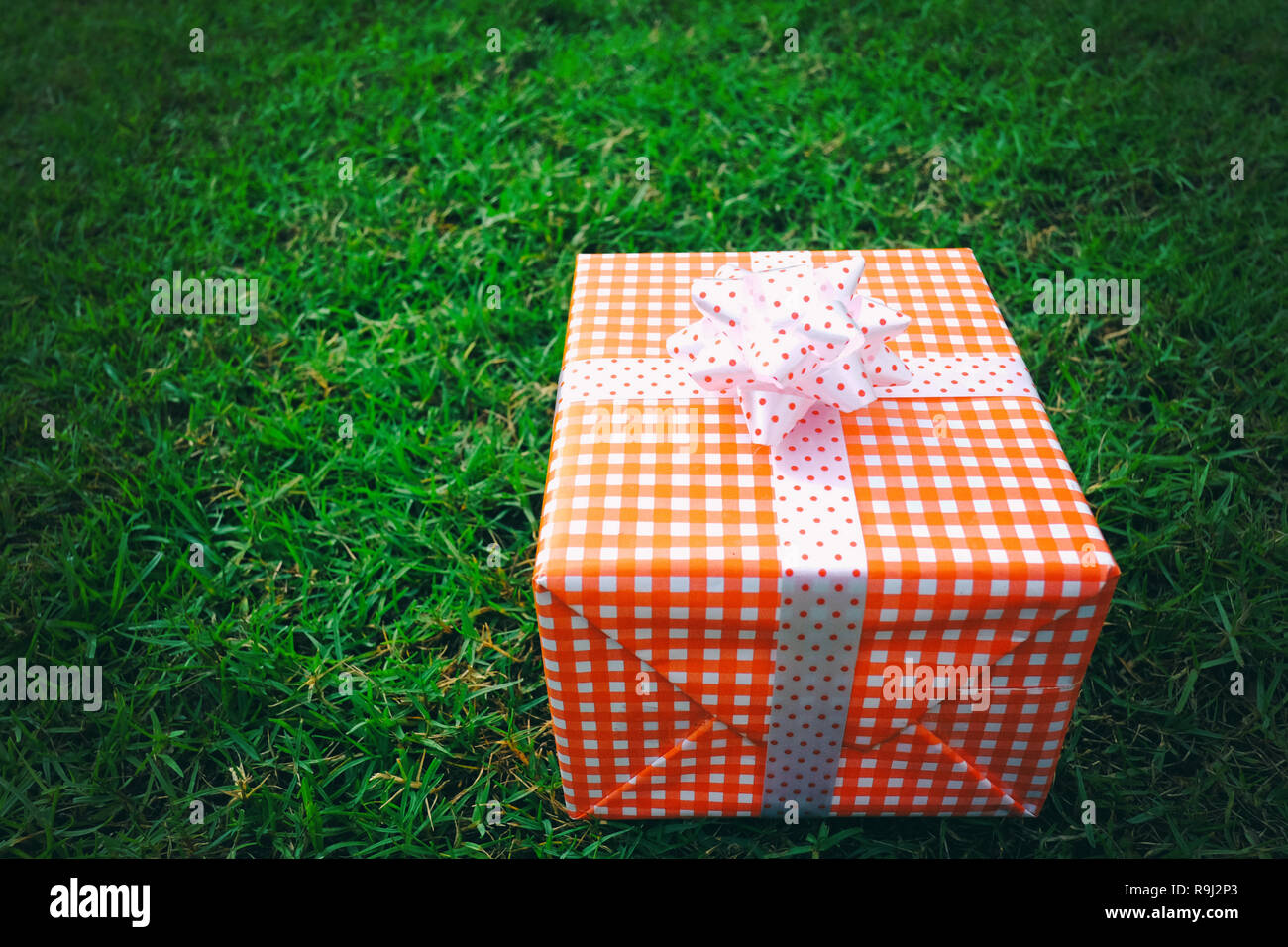 Confezione regalo rossa sul prato verde per il Natale e il nuovo anno, il giorno di san valentino o anniversario di giorno e di avere uno spazio di copia per il design nel suo concetto di lavoro. Foto Stock