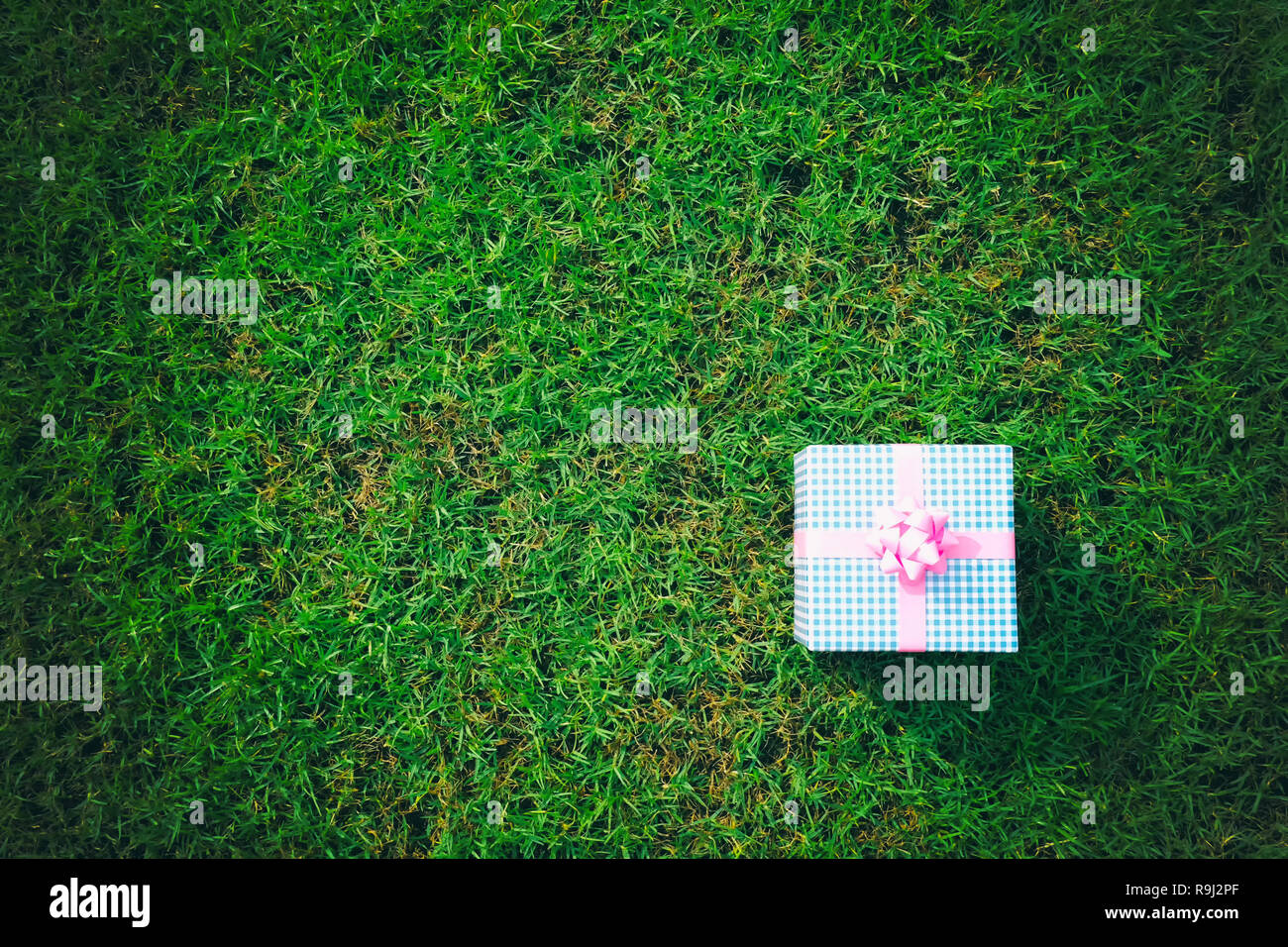Confezione regalo sul prato verde per il Natale e il nuovo anno, il giorno di san valentino o anniversario di giorno e di avere uno spazio di copia per il design nel suo concetto di lavoro. Foto Stock