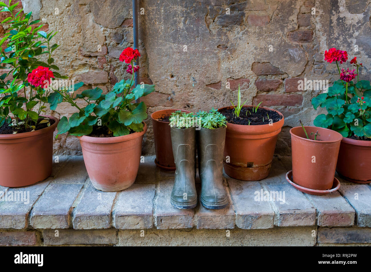 Fiori piantati nel vecchio stivali di resina. Strade di Certaldo fortezza. Toscana, Italia. Foto Stock