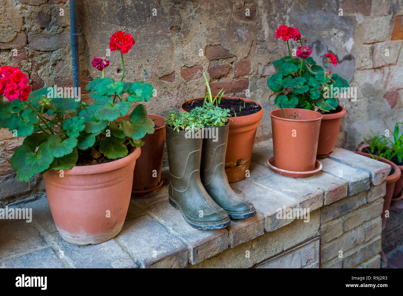 Fortezza di Certaldo street con fiori piantati a stivali vecchi. Toscana, Italia. Foto Stock