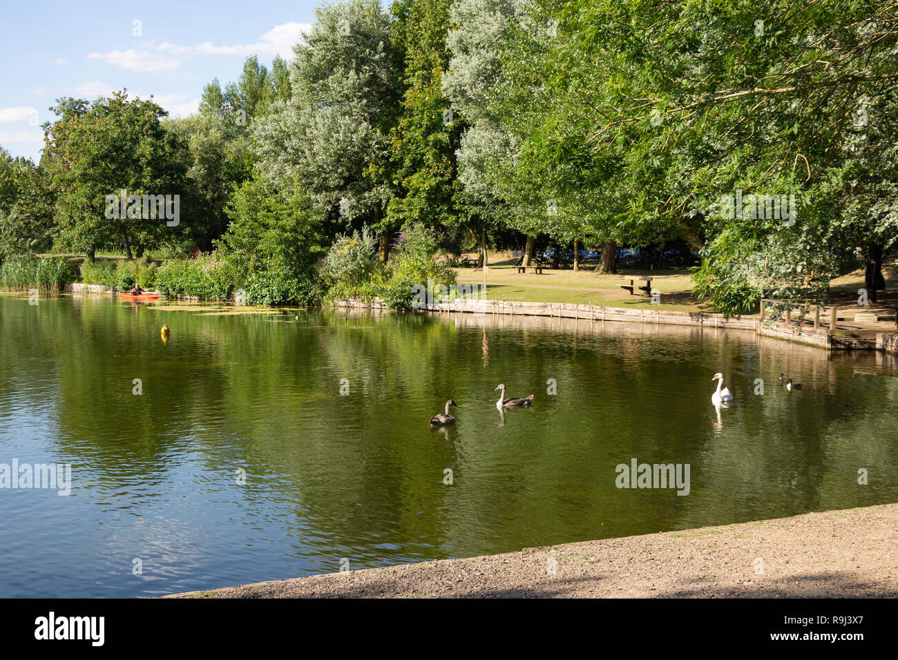 Needham Lago, Coddenham Road, Needham Market, Suffolk, Inghilterra, Regno Unito Foto Stock