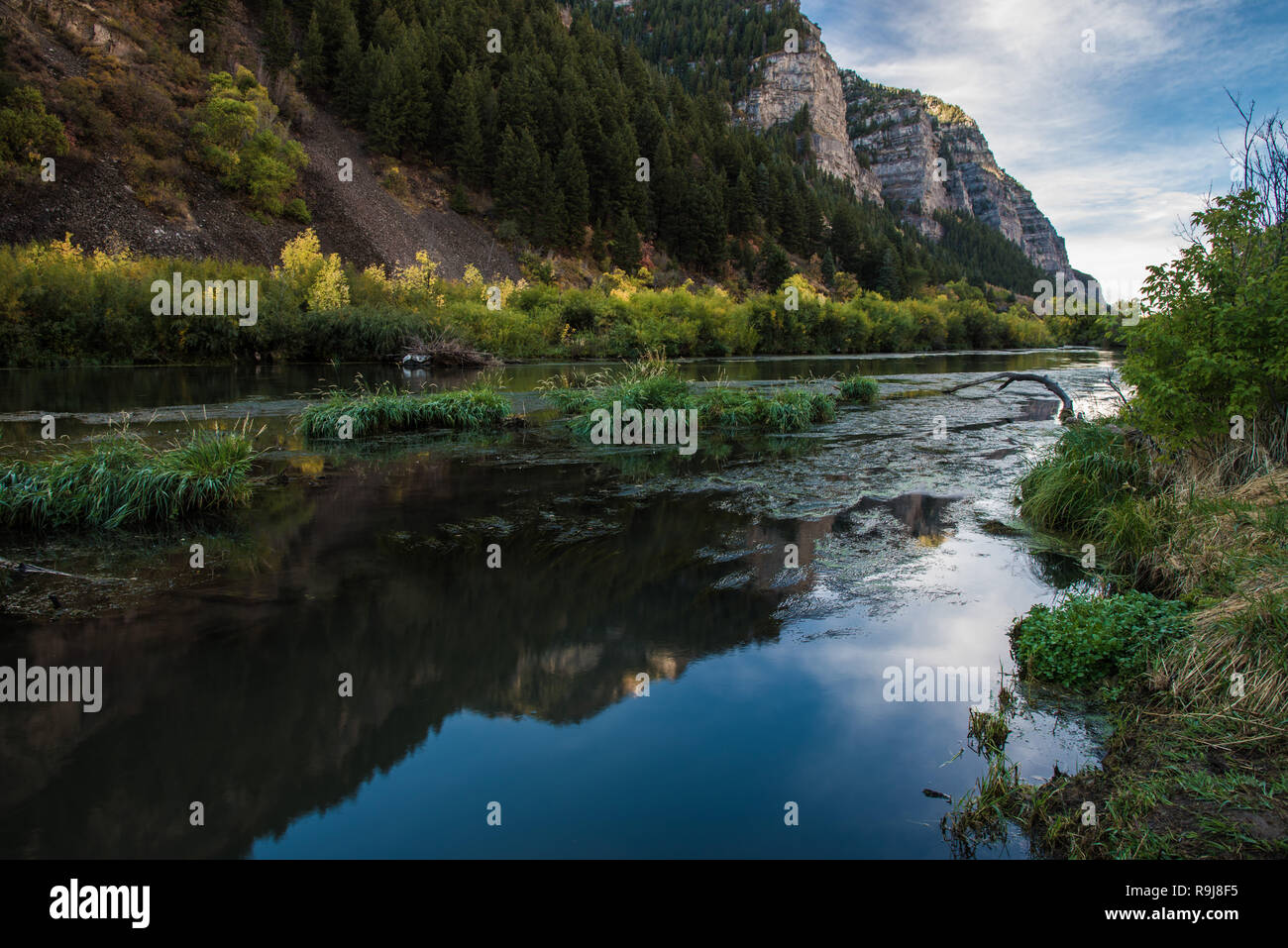 Oro, rosso e giallo autunno paesaggi e torrenti di montagna. Foto Stock