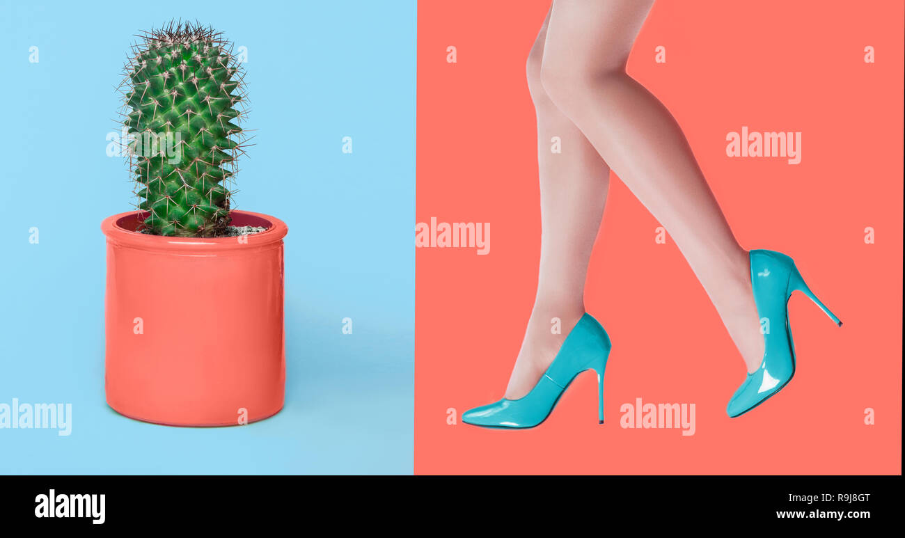L'idea di rimozione dei peli sulle gambe. Liscia femmina belle gambe e spinoso cactus peloso Foto Stock