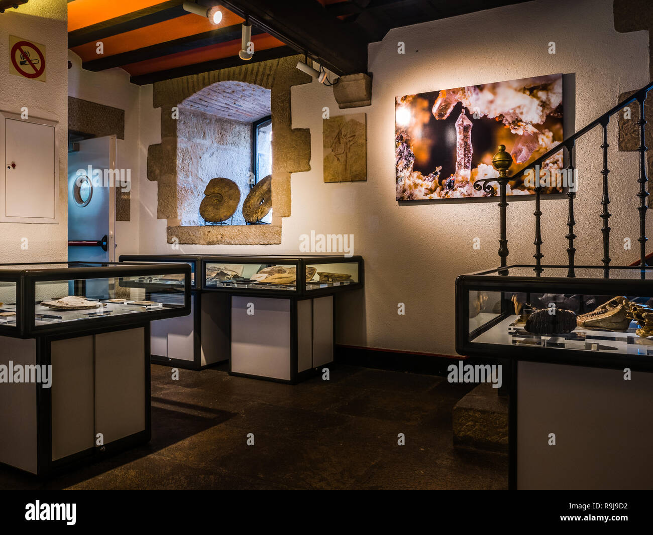 Vista interna del Museo di Scienze Naturali di Alava (Museo de Ciencias Naturales de Alava) Foto Stock