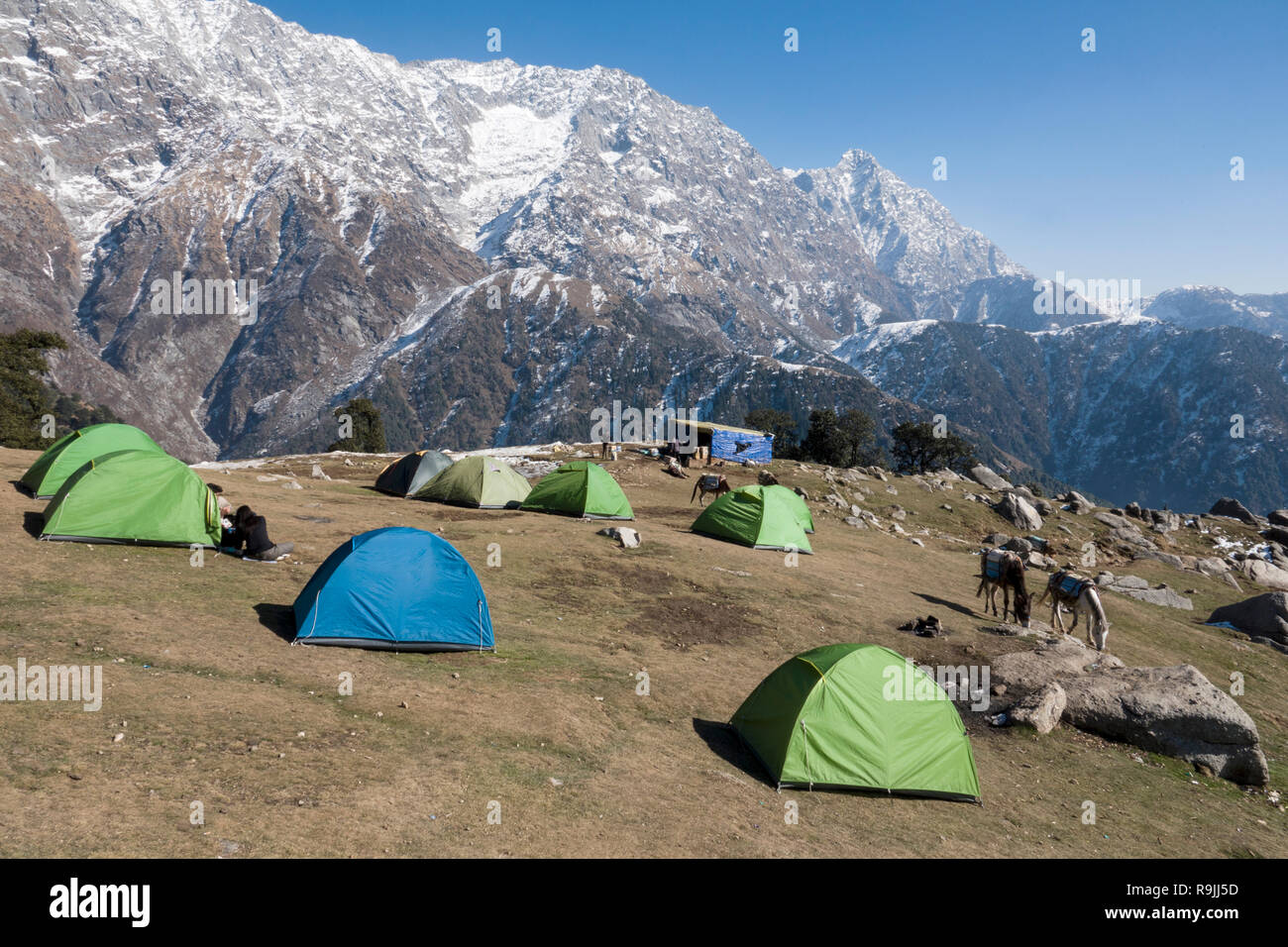 Campeggio a Triund del Dhauladhar varia in Himachel Pradesh, India Foto Stock