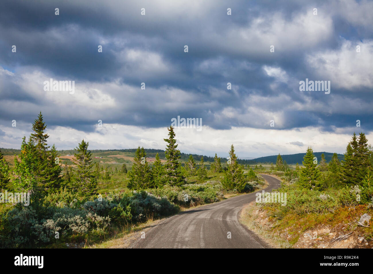 Estate norvegese paesaggio con pioggia nuvole e cupo cielo sopra il paese di avvolgimento strada nella contea di Oppland orientale della Norvegia e Scandinavia Foto Stock