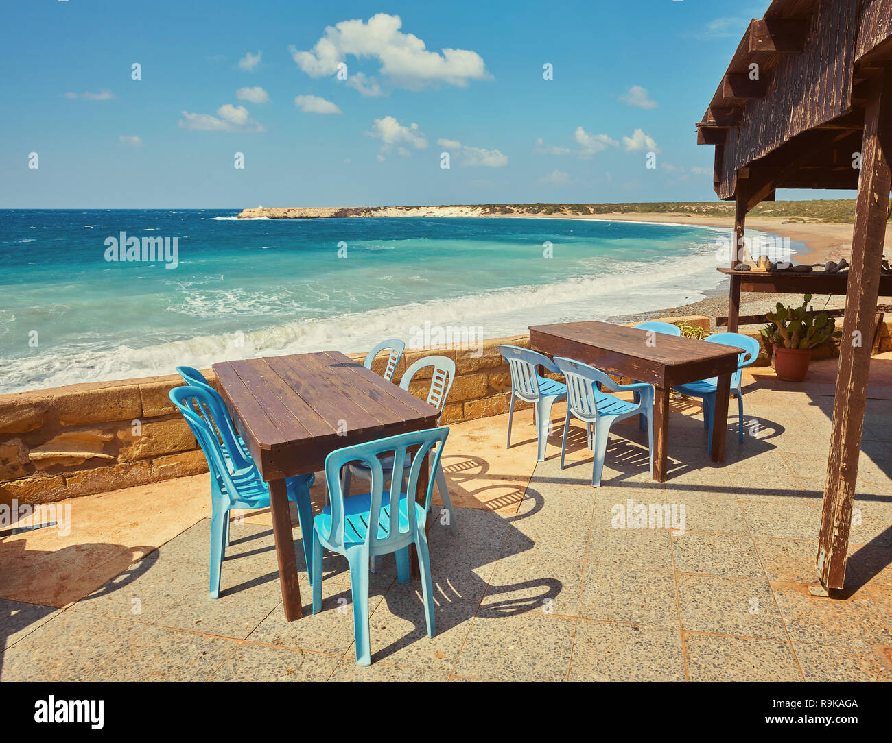 I tavoli e le sedie in un cafe con palme sulla spiaggia Lara, Cipro Foto Stock