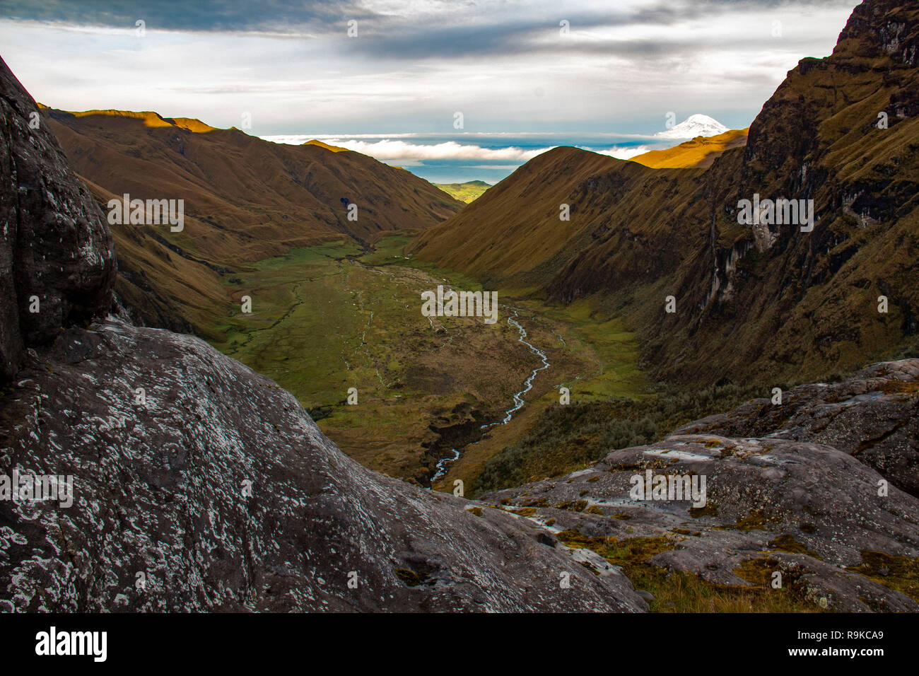 Trekking alla Laguna Amarilla e vulcano El altare, Riobamba, Ecuador Foto Stock
