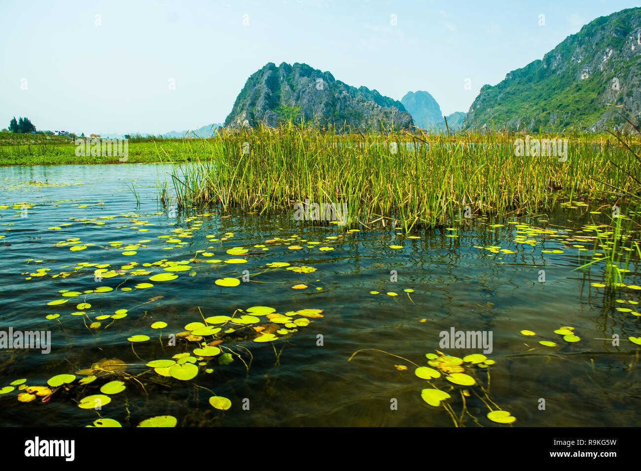 Van lungo la Riserva Naturale con barche e belle montagne, NinhBinh in Vietnam Foto Stock