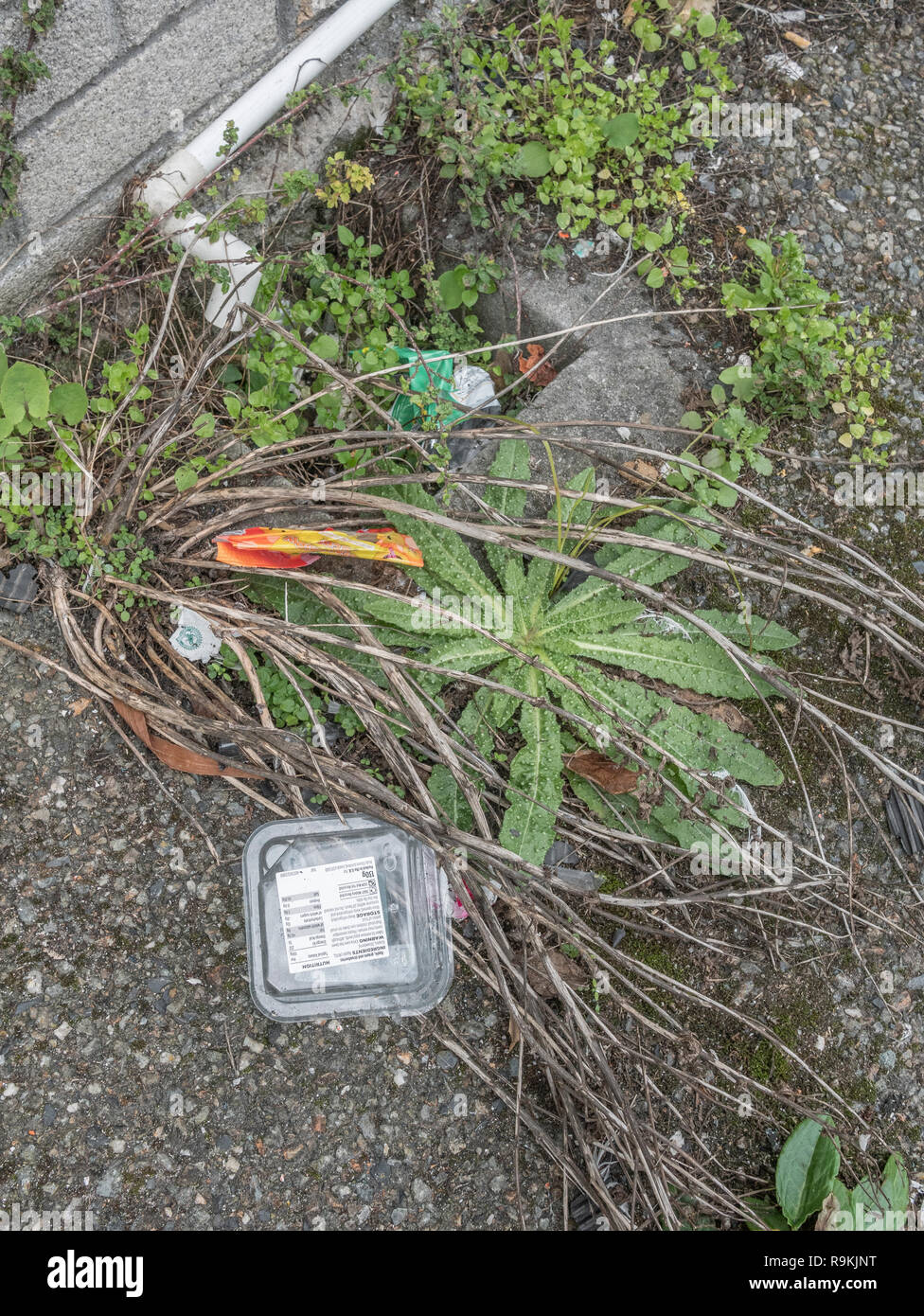 Rifiuti di plastica gettati in ambiente urbano back street. Metafora plastica inquinamento, inquinamento ambientale, guerra sulla plastica dei rifiuti, rifiuti plastici. Foto Stock