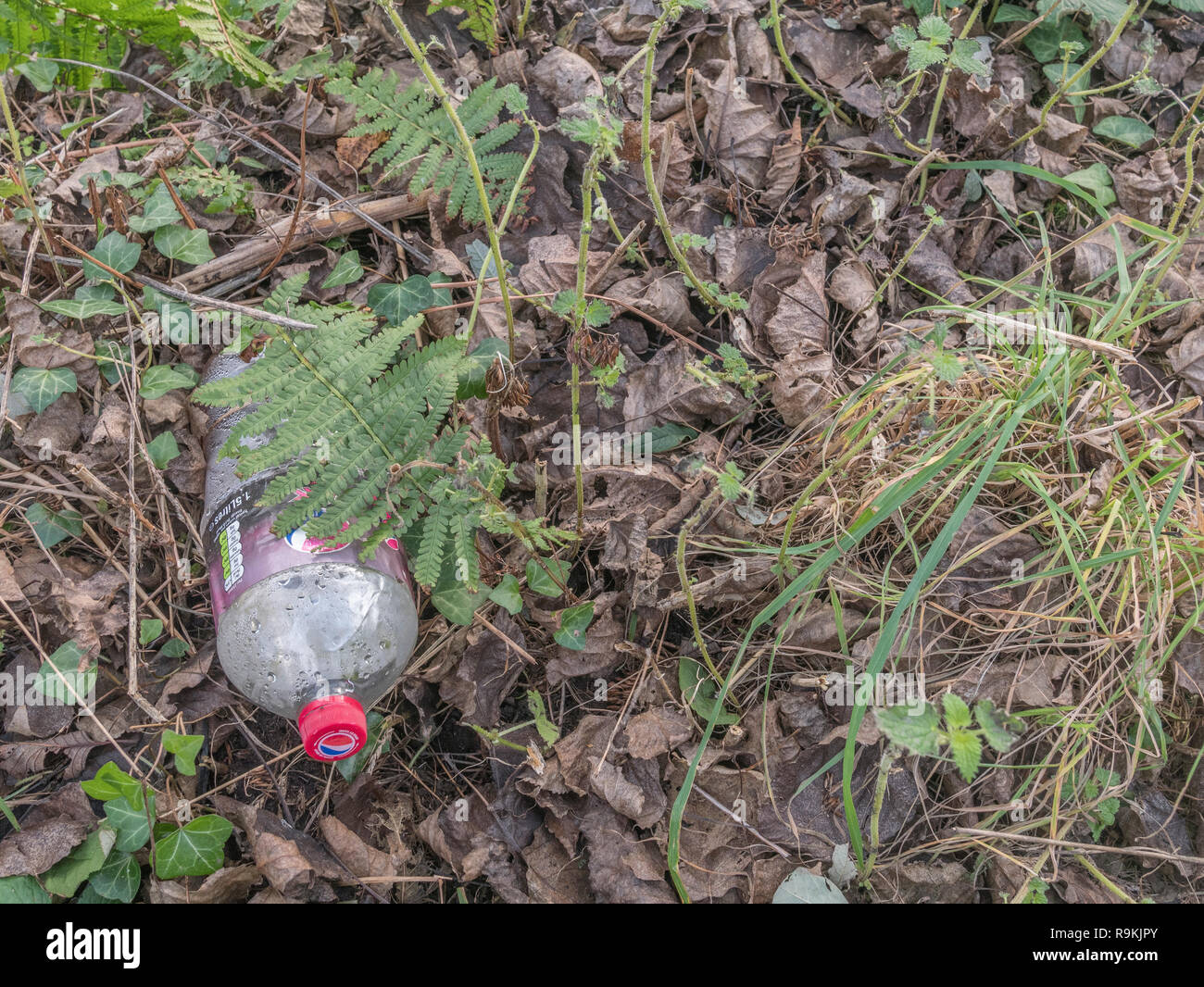 Vuoto in plastica in PTFE soft drink bottiglia scartato nelle zone rurali di siepe fosso. Metafora plastica inquinamento, inquinamento ambientale, guerra sui rifiuti in plastica. Foto Stock