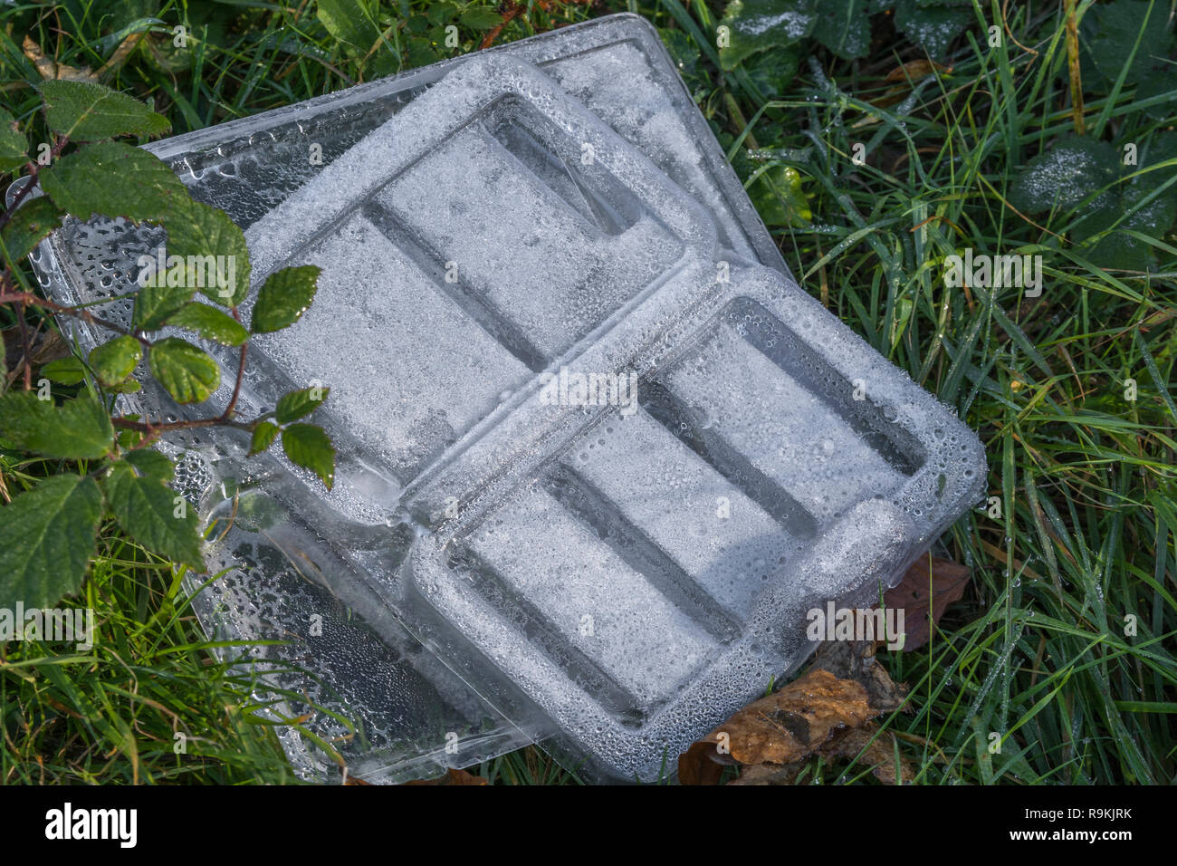 PTFR plastica involucro alimentare scartato nelle zone rurali di siepe. Metafora plastica inquinamento, inquinamento ambientale, guerra sulla plastica dei rifiuti, rifiuti plastici. Foto Stock