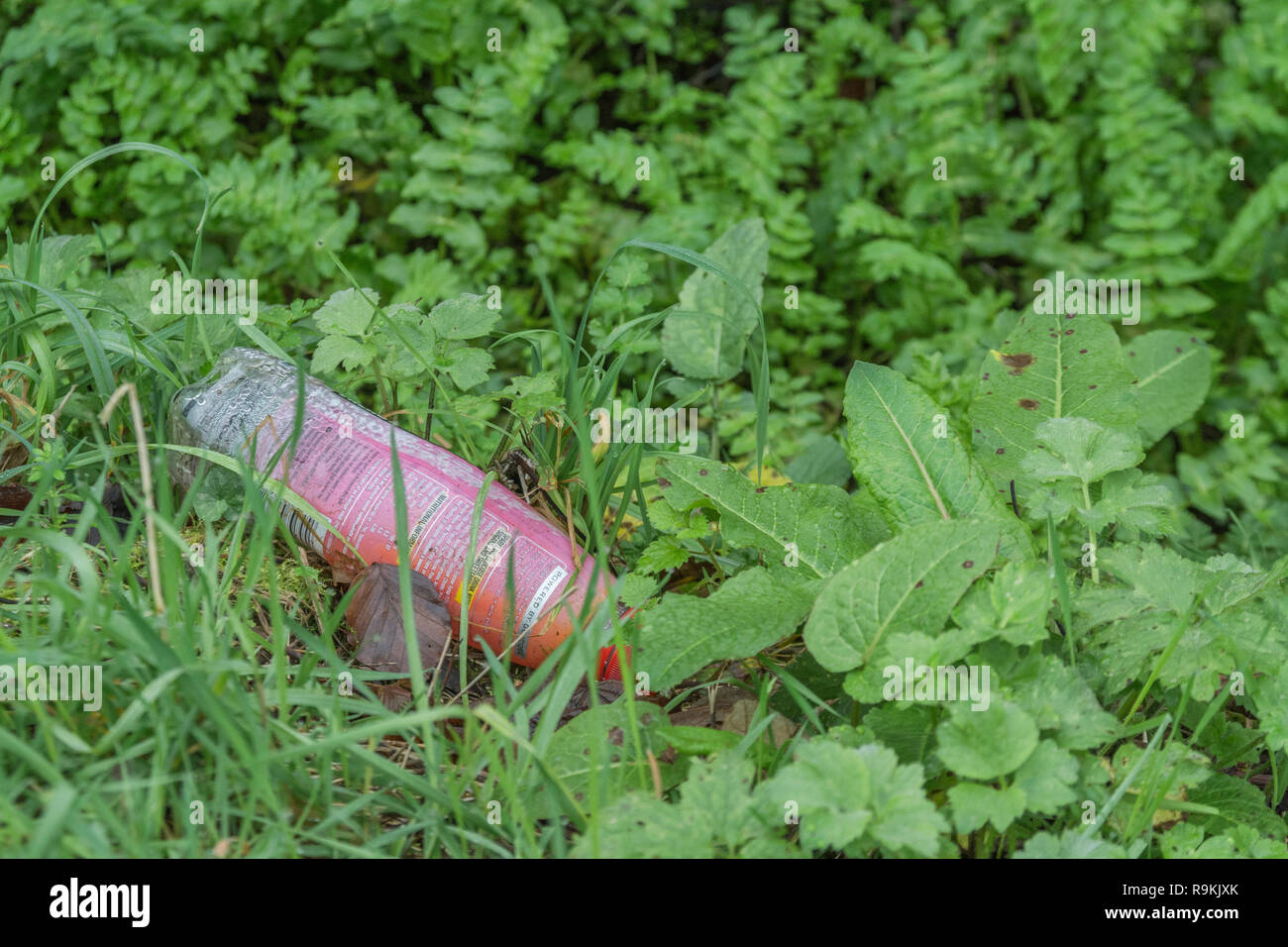 PTFE soft drink bottiglia scartato nelle zone rurali di siepe fosso. Metafora plastica inquinamento, inquinamento ambientale, guerra sulla plastica dei rifiuti, rifiuti plastici. Foto Stock